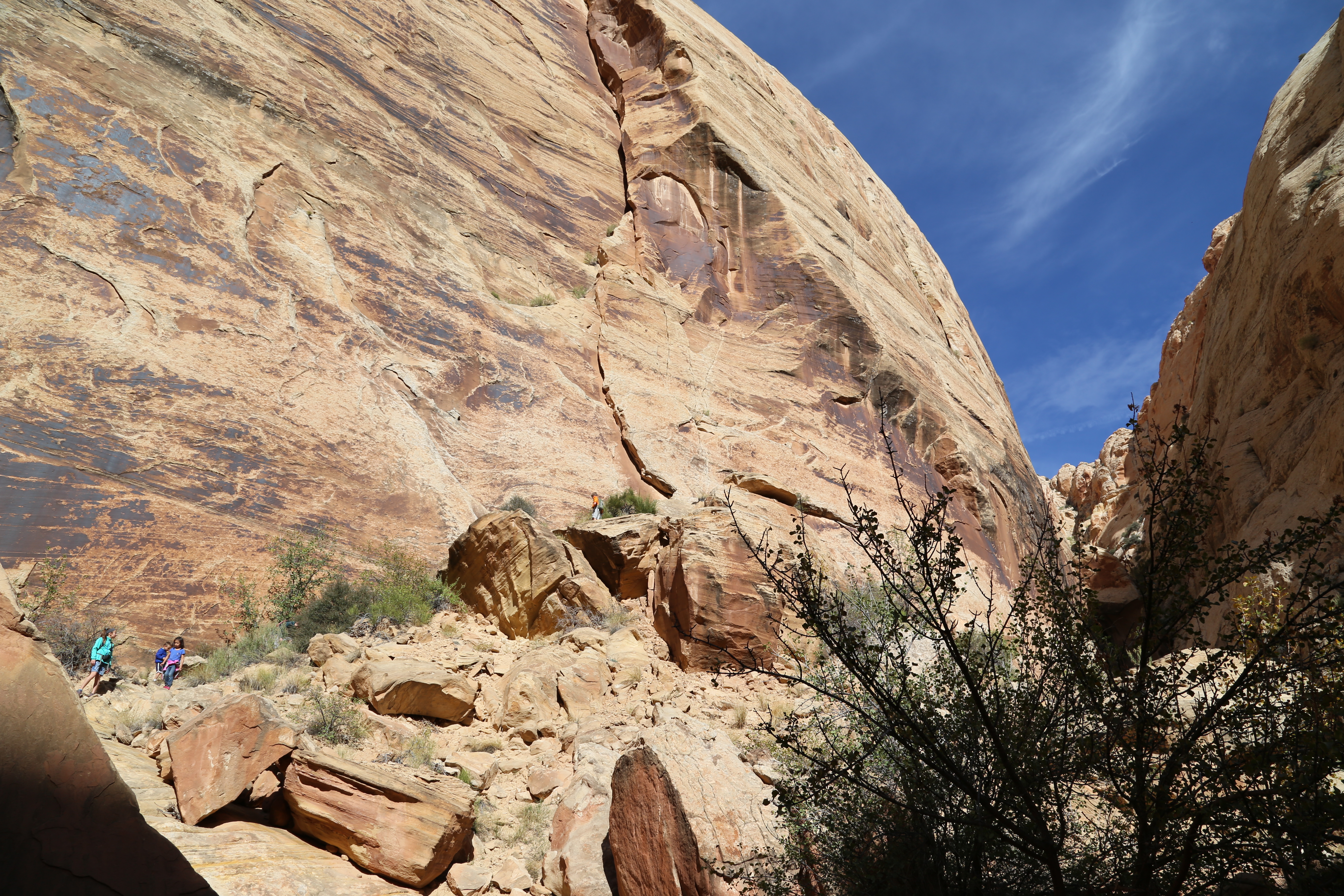 2015 Fall Break - Day 2 - Capitol Reef National Park (Grand Wash Narrows, Capitol Gorge (Petroglyphs, Narrows, Pioneer Register), Waterpocket Fold Drive (Notom-Bullfrog Road, Burr Trail Road), Hell's Backbone Grill (Boulder, Utah))