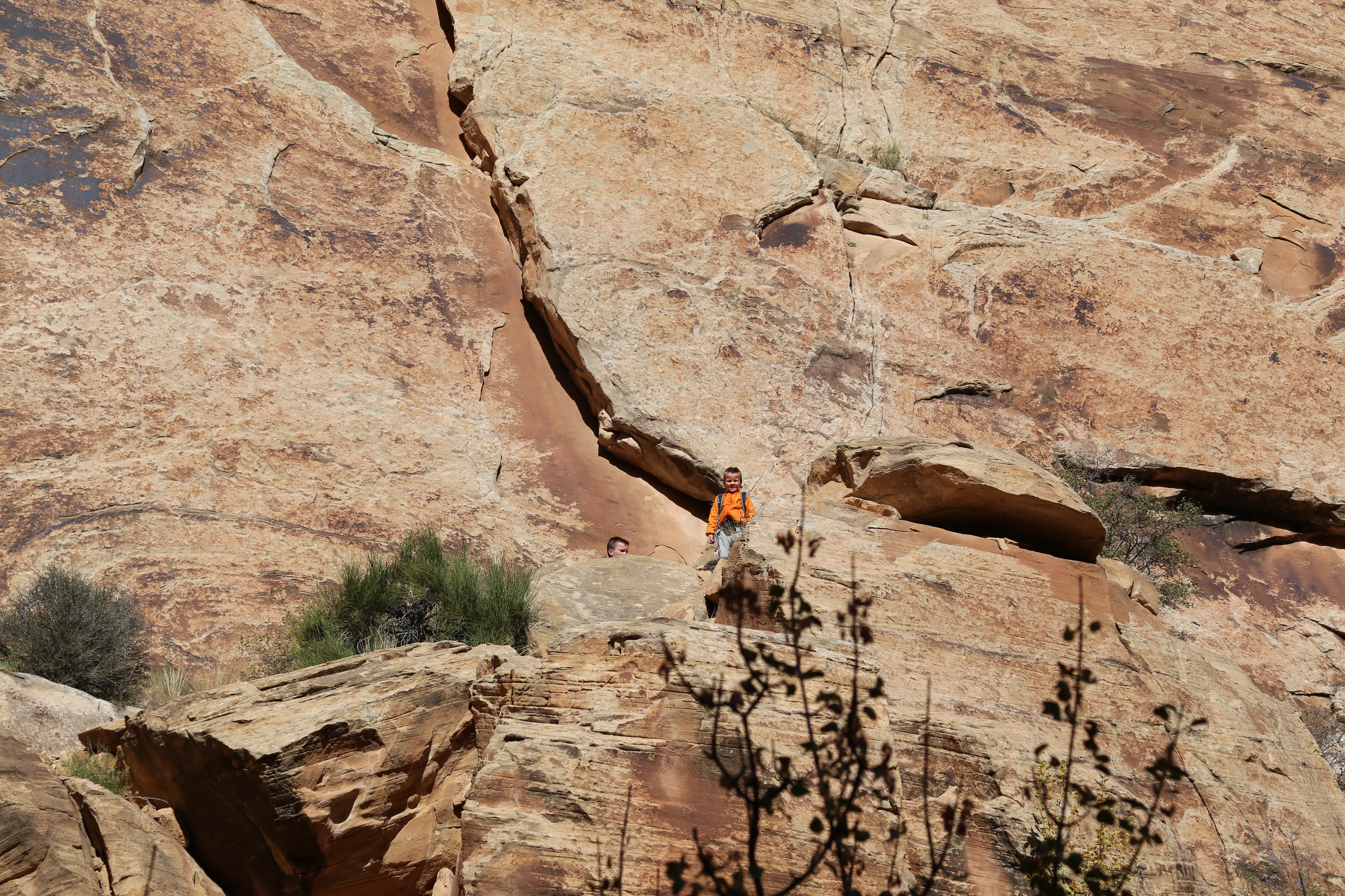 2015 Fall Break - Day 2 - Capitol Reef National Park (Grand Wash Narrows, Capitol Gorge (Petroglyphs, Narrows, Pioneer Register), Waterpocket Fold Drive (Notom-Bullfrog Road, Burr Trail Road), Hell's Backbone Grill (Boulder, Utah))