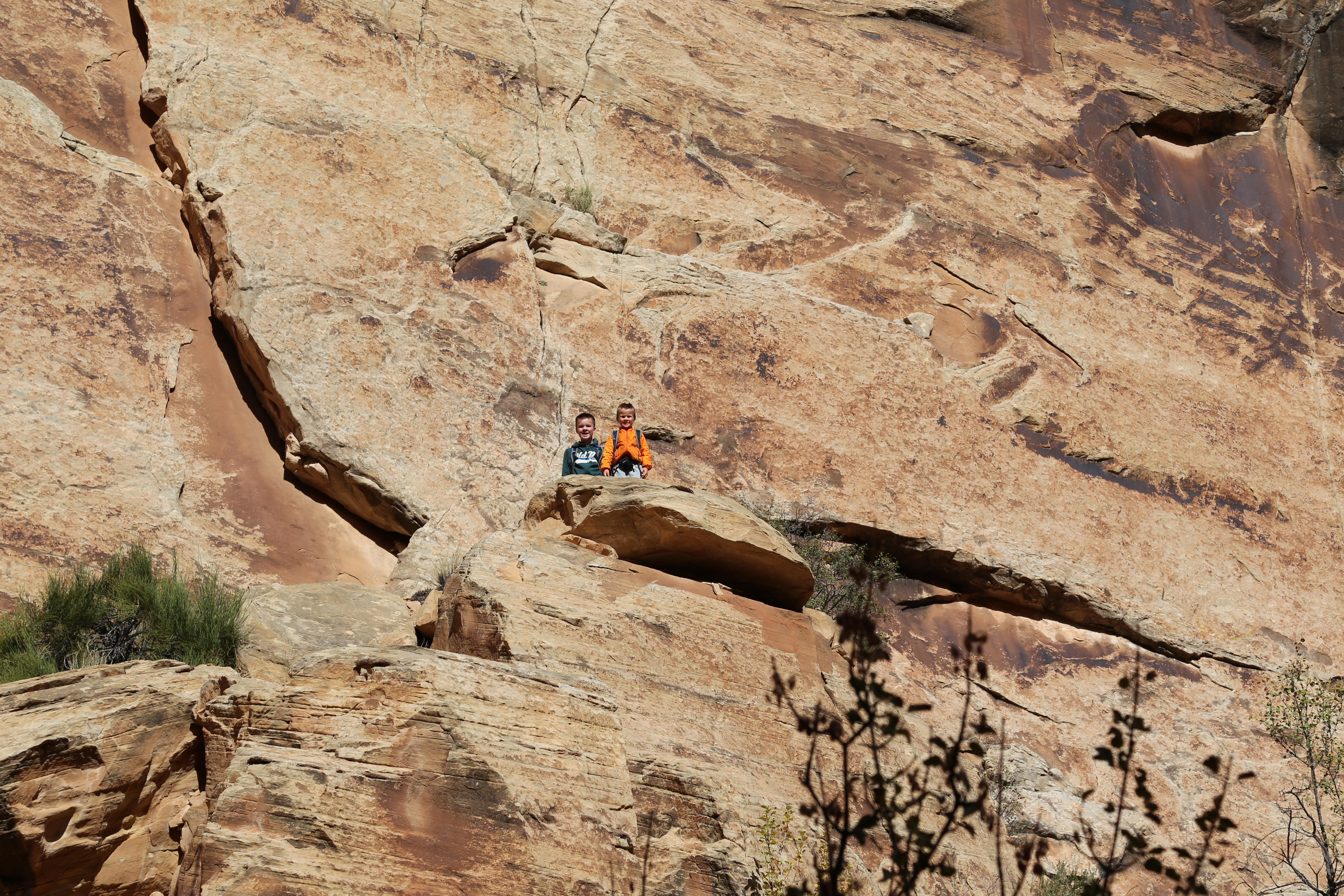 2015 Fall Break - Day 2 - Capitol Reef National Park (Grand Wash Narrows, Capitol Gorge (Petroglyphs, Narrows, Pioneer Register), Waterpocket Fold Drive (Notom-Bullfrog Road, Burr Trail Road), Hell's Backbone Grill (Boulder, Utah))