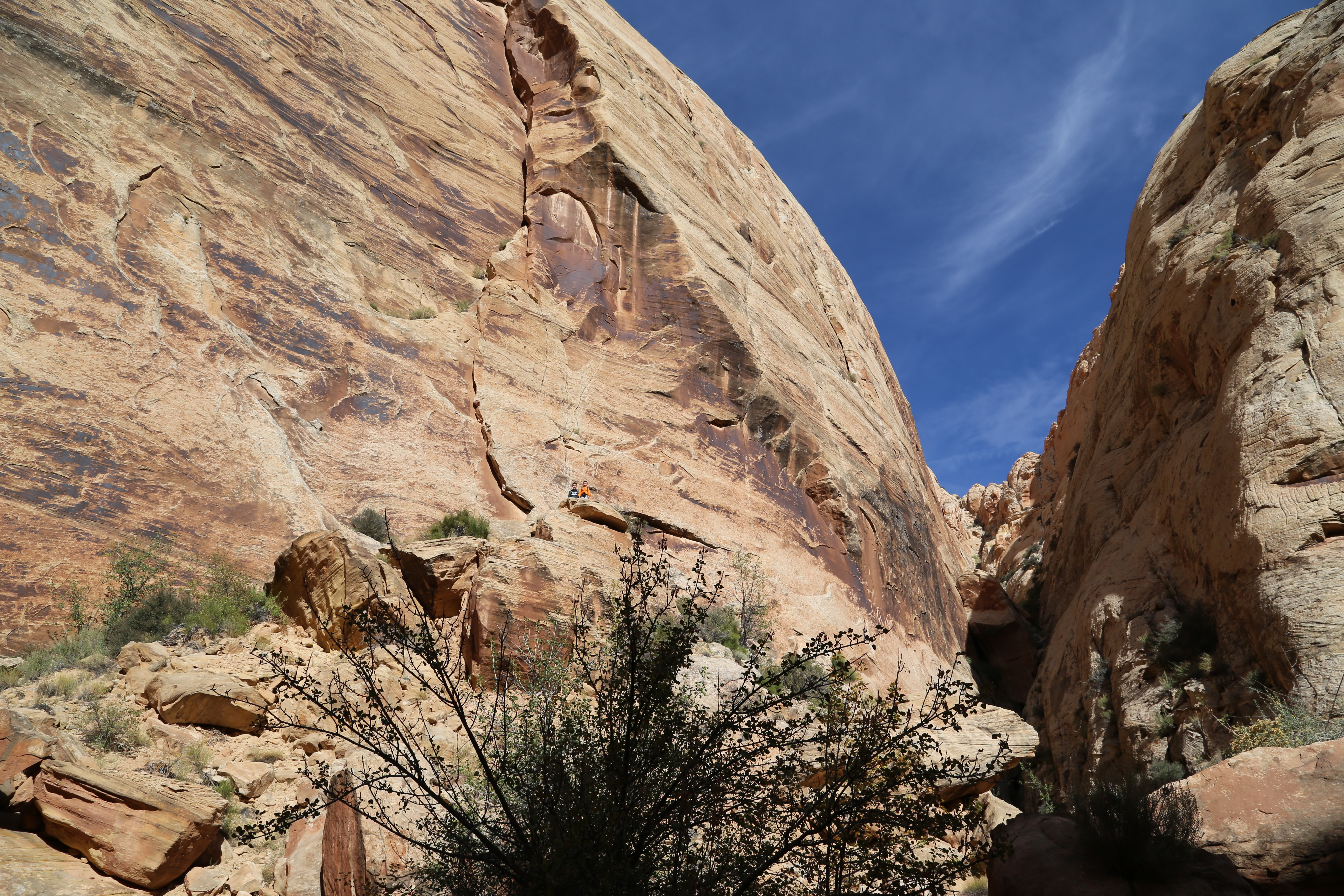 2015 Fall Break - Day 2 - Capitol Reef National Park (Grand Wash Narrows, Capitol Gorge (Petroglyphs, Narrows, Pioneer Register), Waterpocket Fold Drive (Notom-Bullfrog Road, Burr Trail Road), Hell's Backbone Grill (Boulder, Utah))