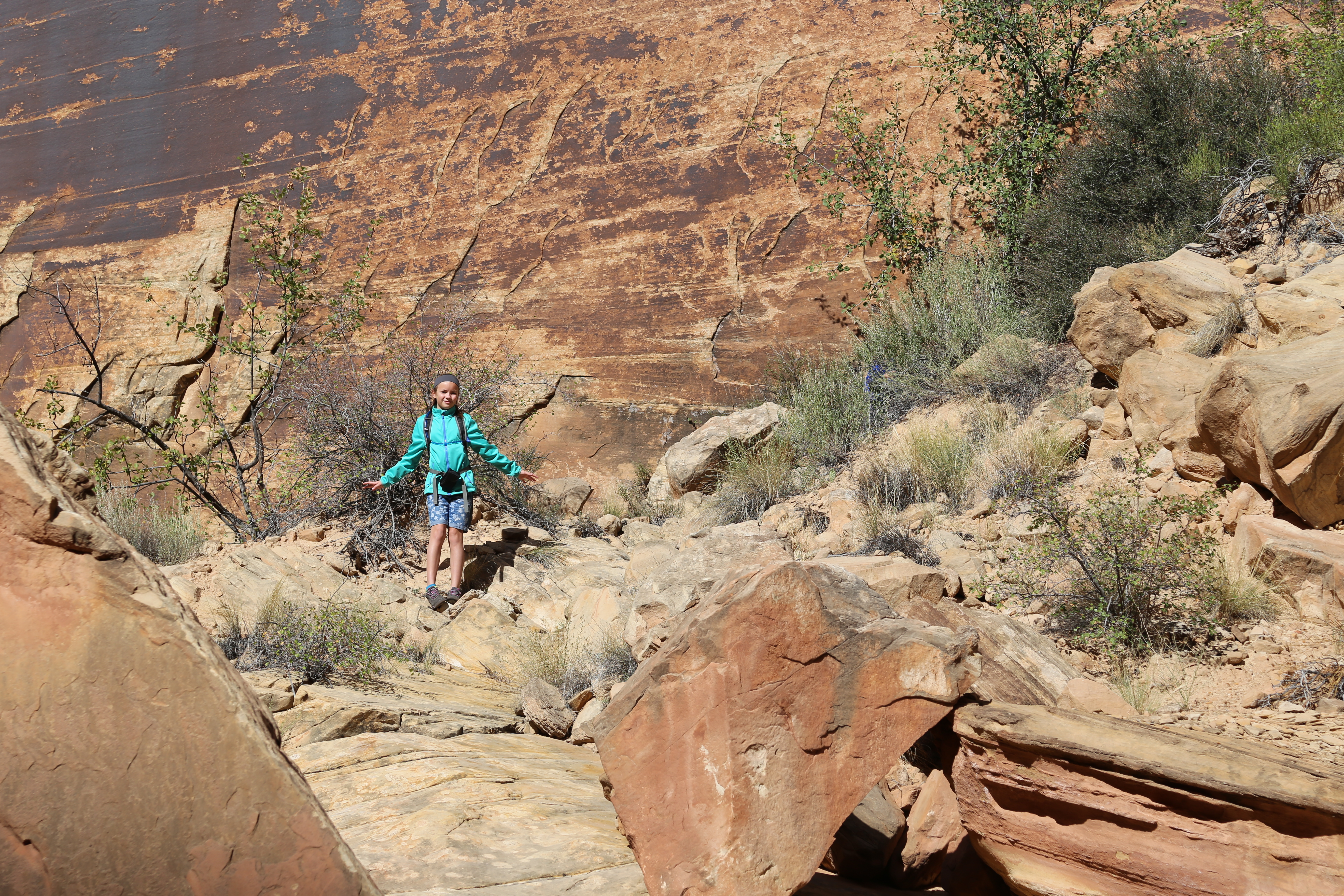 2015 Fall Break - Day 2 - Capitol Reef National Park (Grand Wash Narrows, Capitol Gorge (Petroglyphs, Narrows, Pioneer Register), Waterpocket Fold Drive (Notom-Bullfrog Road, Burr Trail Road), Hell's Backbone Grill (Boulder, Utah))