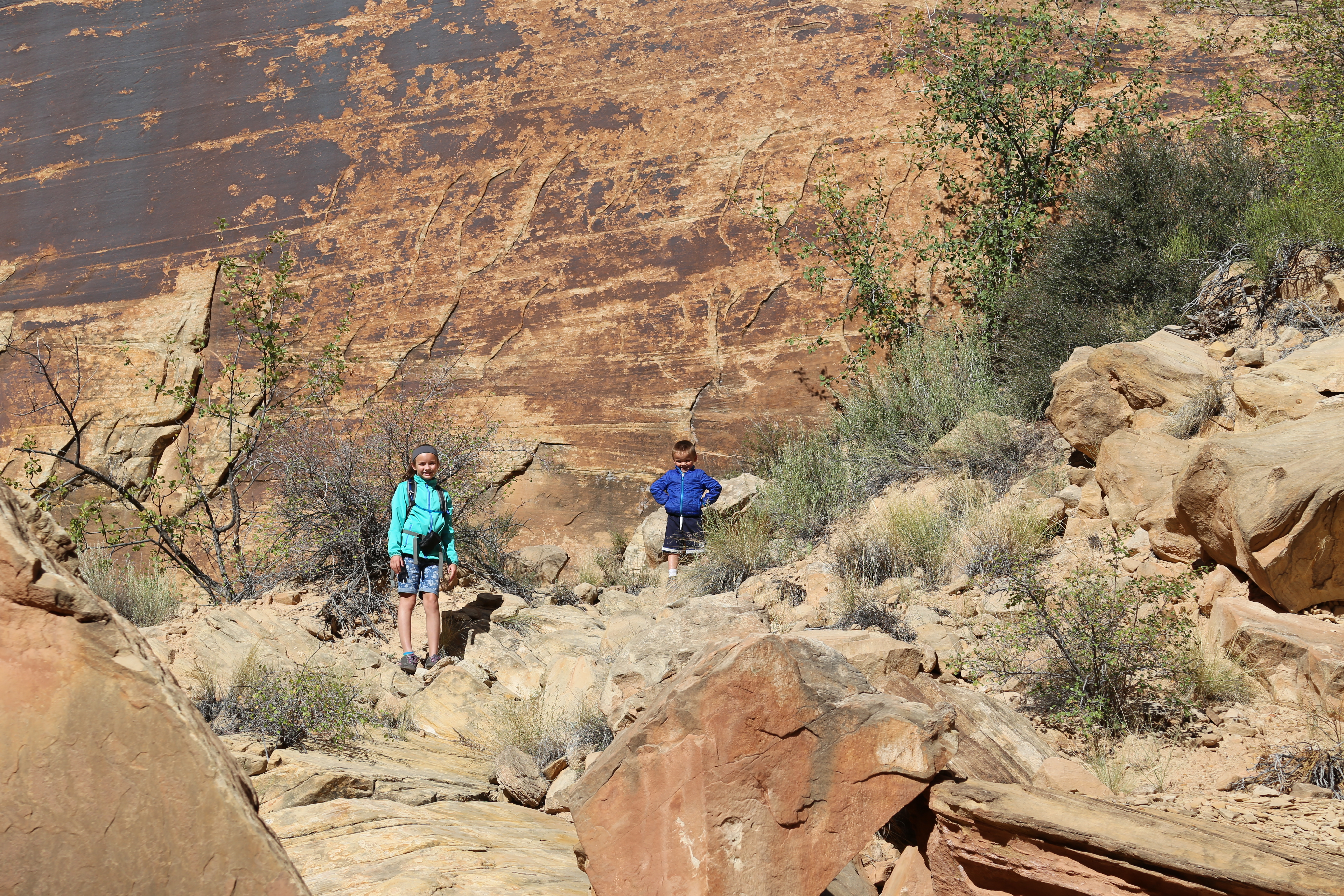 2015 Fall Break - Day 2 - Capitol Reef National Park (Grand Wash Narrows, Capitol Gorge (Petroglyphs, Narrows, Pioneer Register), Waterpocket Fold Drive (Notom-Bullfrog Road, Burr Trail Road), Hell's Backbone Grill (Boulder, Utah))