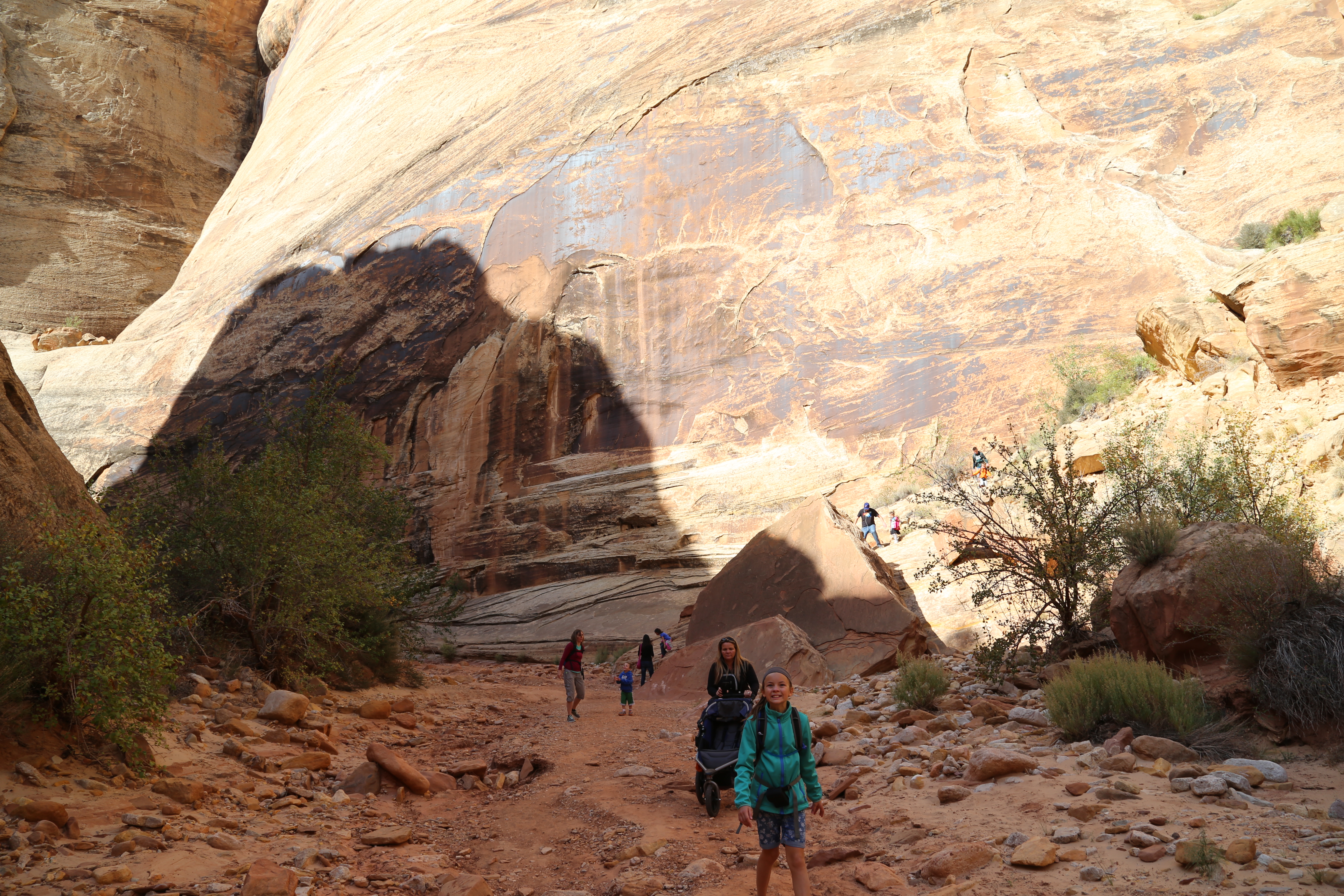 2015 Fall Break - Day 2 - Capitol Reef National Park (Grand Wash Narrows, Capitol Gorge (Petroglyphs, Narrows, Pioneer Register), Waterpocket Fold Drive (Notom-Bullfrog Road, Burr Trail Road), Hell's Backbone Grill (Boulder, Utah))