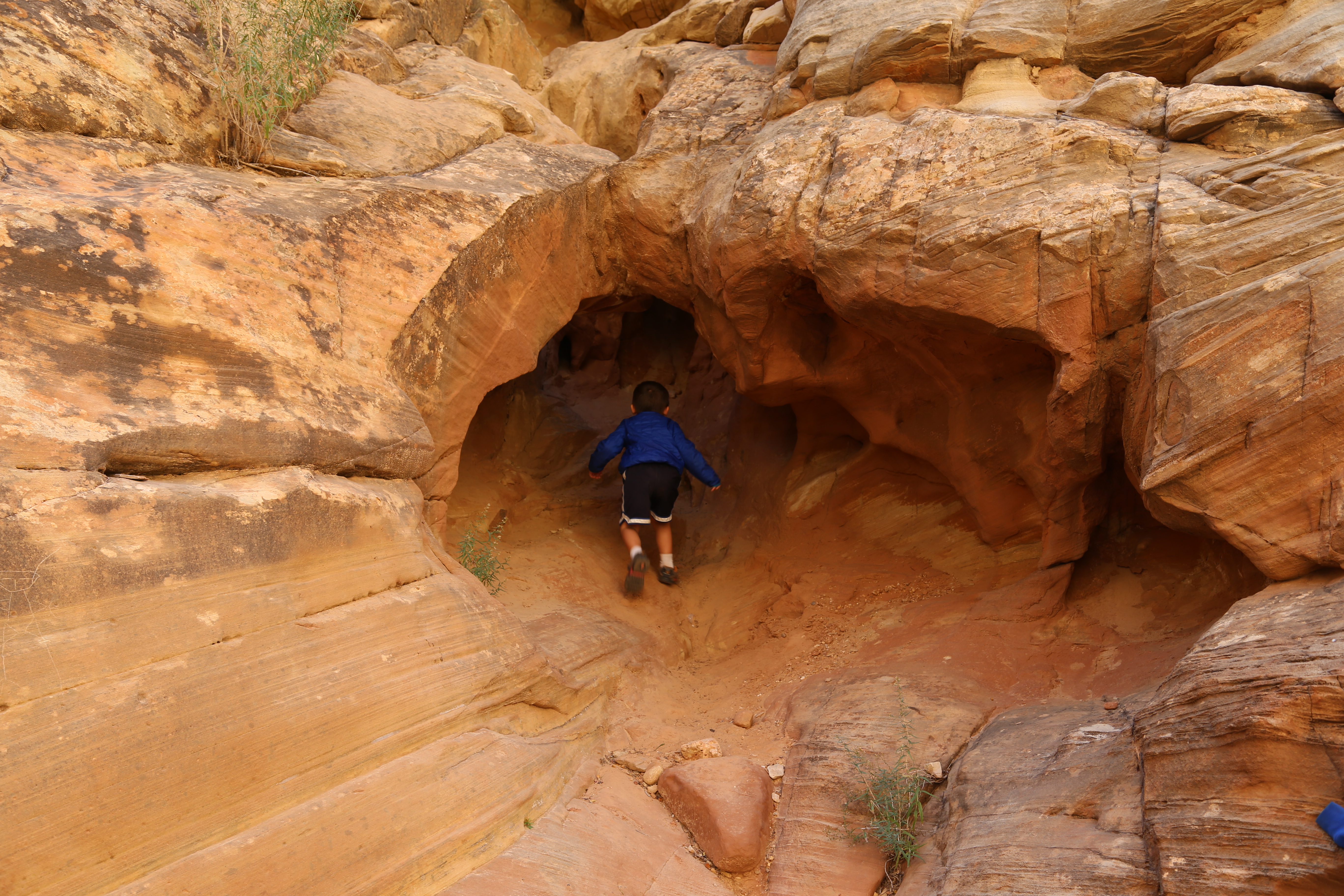 2015 Fall Break - Day 2 - Capitol Reef National Park (Grand Wash Narrows, Capitol Gorge (Petroglyphs, Narrows, Pioneer Register), Waterpocket Fold Drive (Notom-Bullfrog Road, Burr Trail Road), Hell's Backbone Grill (Boulder, Utah))