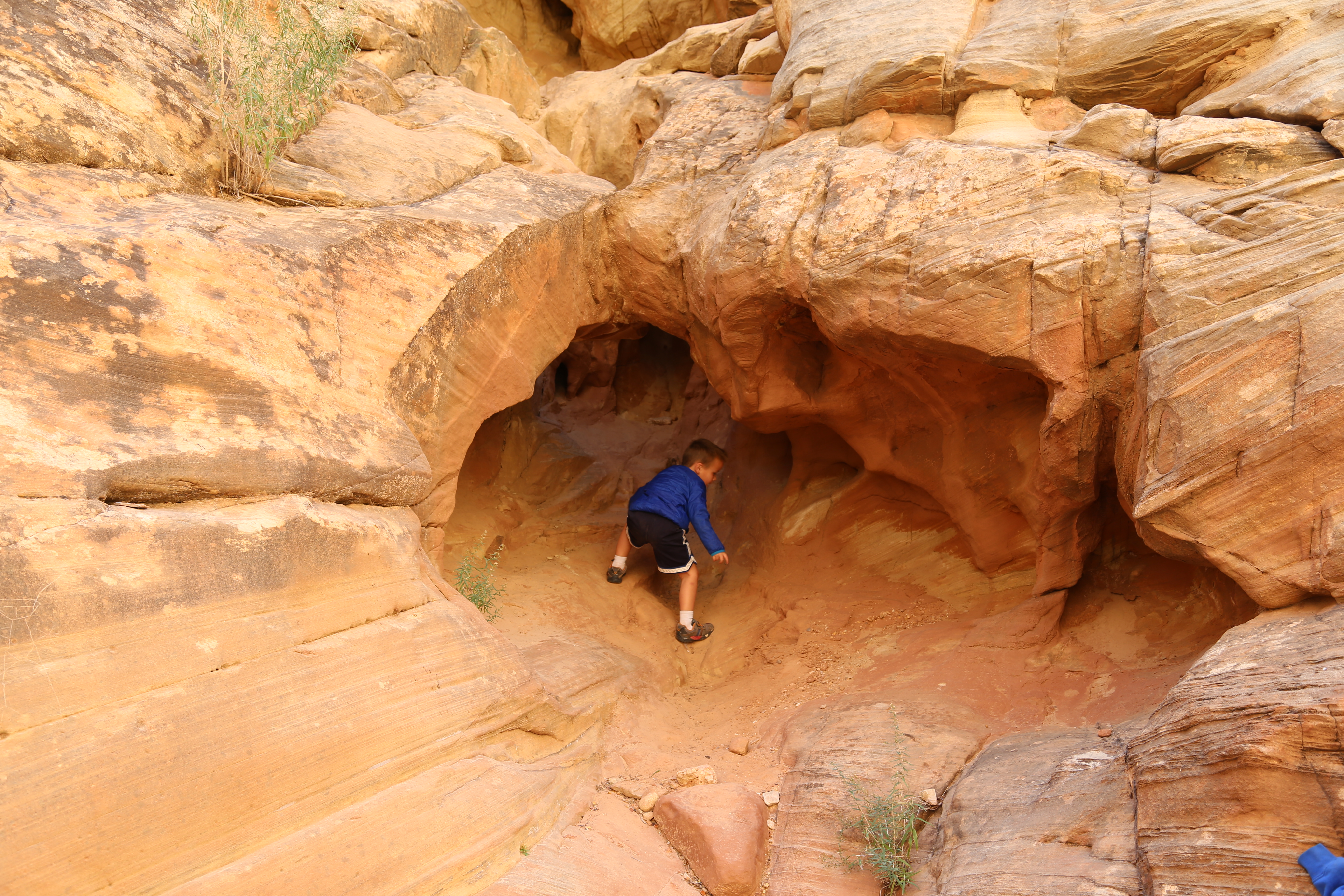 2015 Fall Break - Day 2 - Capitol Reef National Park (Grand Wash Narrows, Capitol Gorge (Petroglyphs, Narrows, Pioneer Register), Waterpocket Fold Drive (Notom-Bullfrog Road, Burr Trail Road), Hell's Backbone Grill (Boulder, Utah))