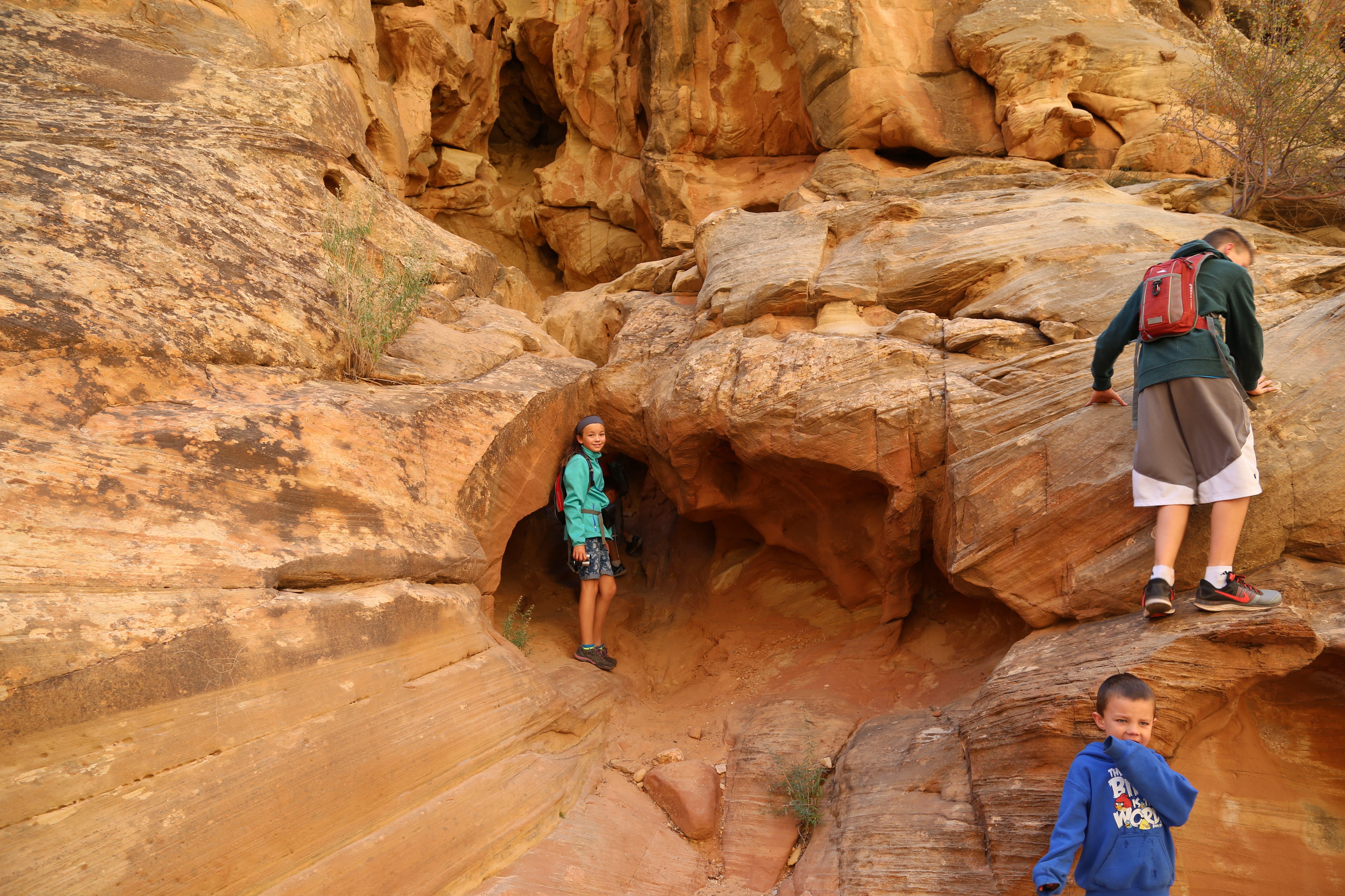 2015 Fall Break - Day 2 - Capitol Reef National Park (Grand Wash Narrows, Capitol Gorge (Petroglyphs, Narrows, Pioneer Register), Waterpocket Fold Drive (Notom-Bullfrog Road, Burr Trail Road), Hell's Backbone Grill (Boulder, Utah))