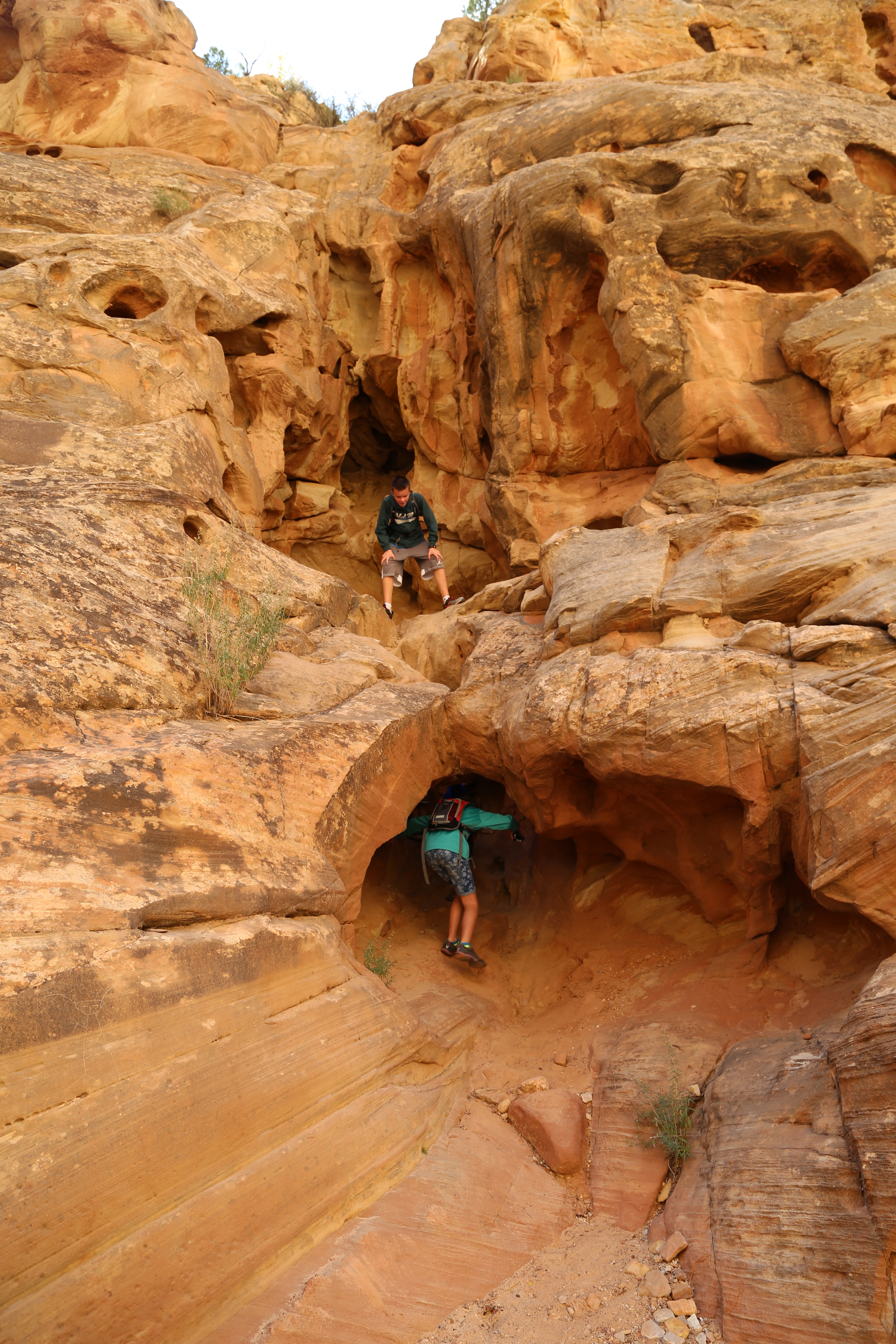 2015 Fall Break - Day 2 - Capitol Reef National Park (Grand Wash Narrows, Capitol Gorge (Petroglyphs, Narrows, Pioneer Register), Waterpocket Fold Drive (Notom-Bullfrog Road, Burr Trail Road), Hell's Backbone Grill (Boulder, Utah))