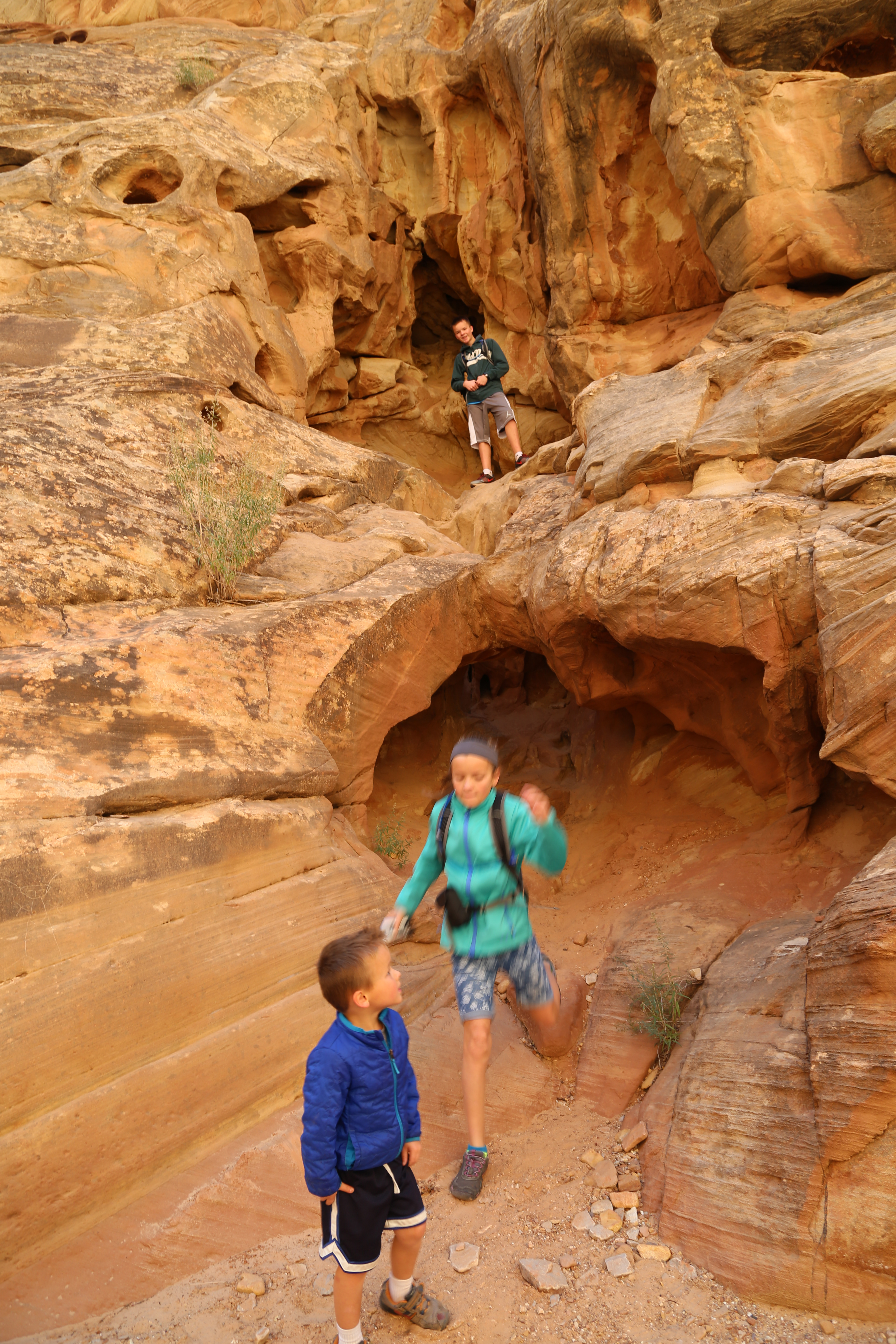 2015 Fall Break - Day 2 - Capitol Reef National Park (Grand Wash Narrows, Capitol Gorge (Petroglyphs, Narrows, Pioneer Register), Waterpocket Fold Drive (Notom-Bullfrog Road, Burr Trail Road), Hell's Backbone Grill (Boulder, Utah))