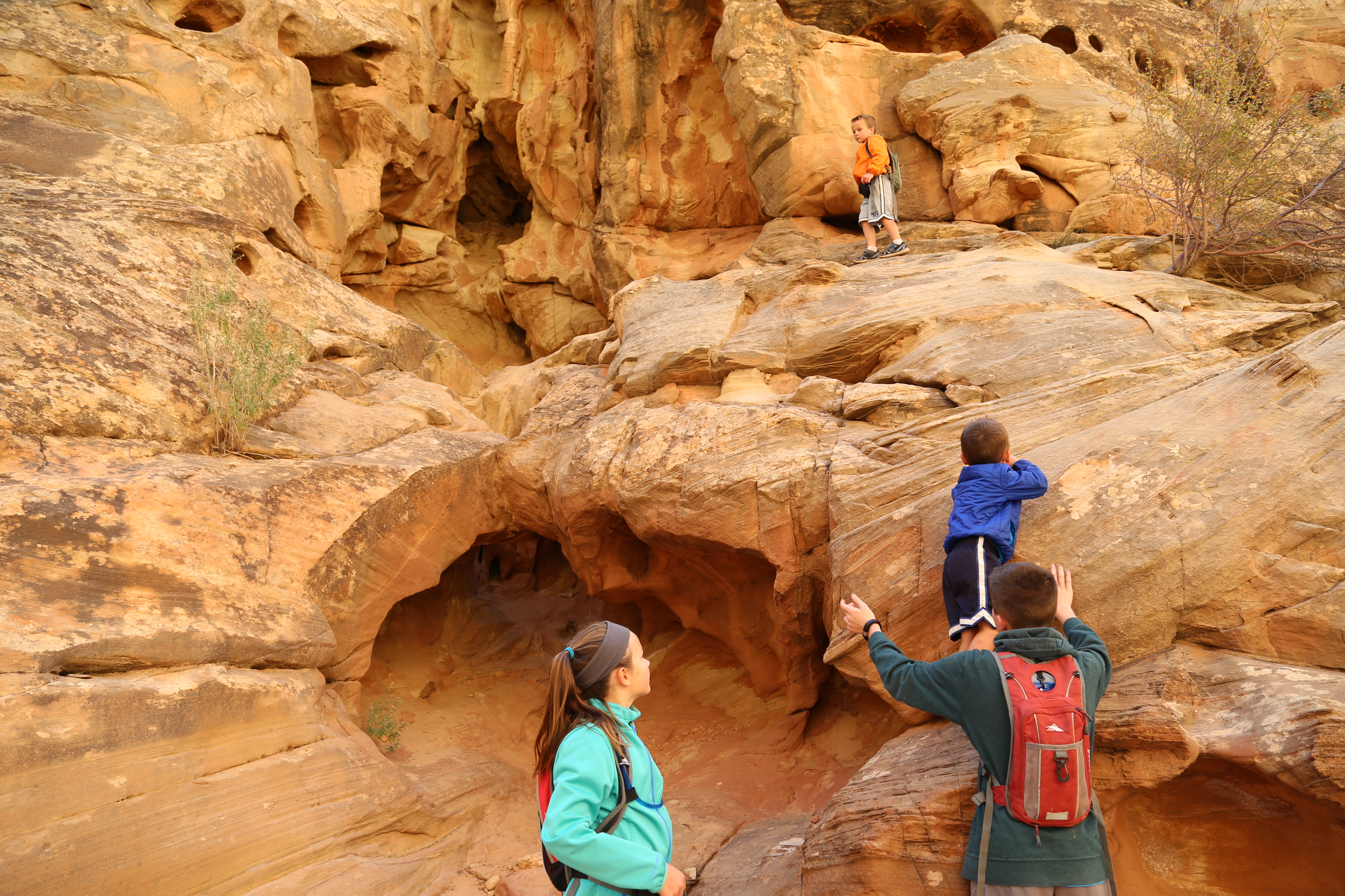 2015 Fall Break - Day 2 - Capitol Reef National Park (Grand Wash Narrows, Capitol Gorge (Petroglyphs, Narrows, Pioneer Register), Waterpocket Fold Drive (Notom-Bullfrog Road, Burr Trail Road), Hell's Backbone Grill (Boulder, Utah))