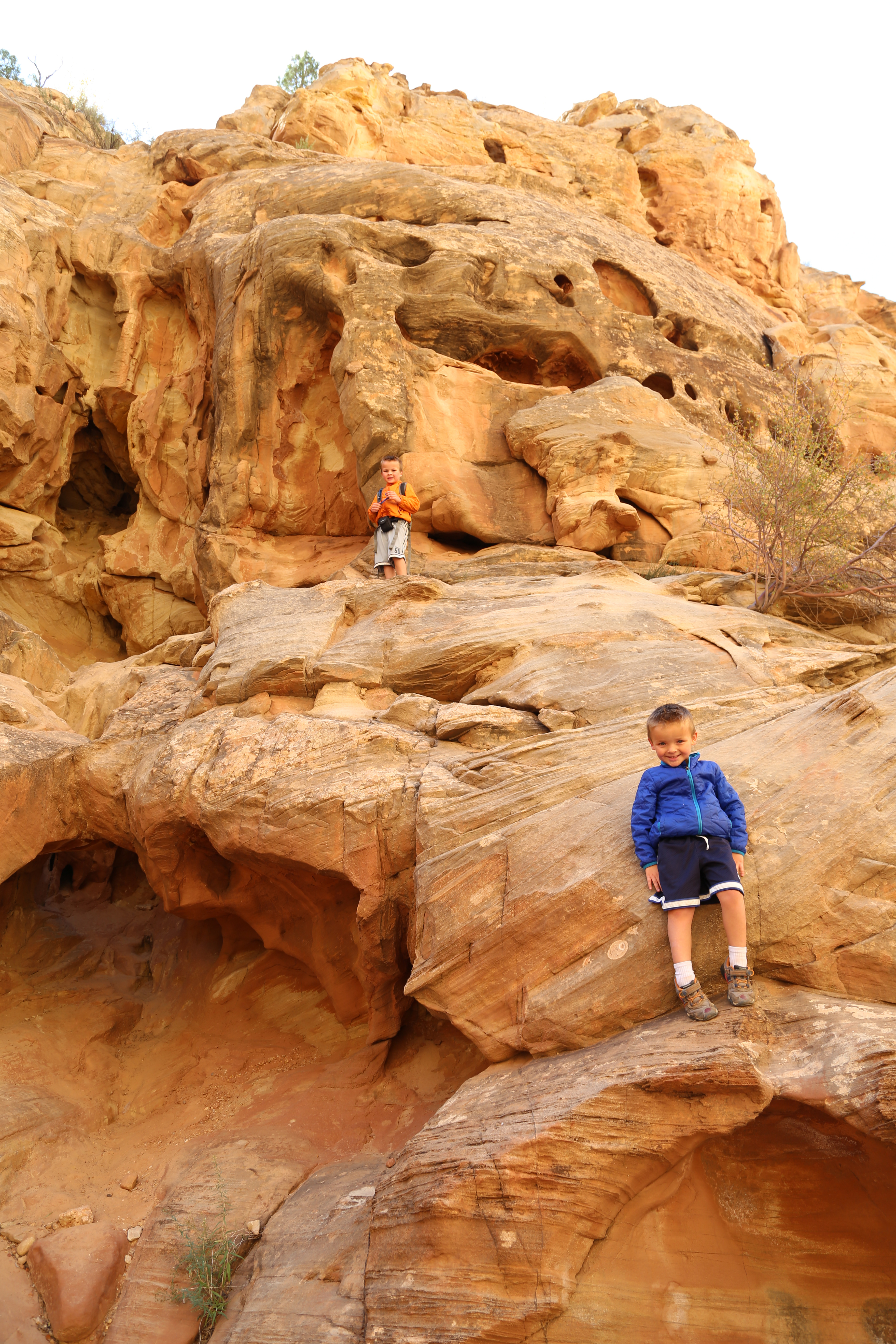 2015 Fall Break - Day 2 - Capitol Reef National Park (Grand Wash Narrows, Capitol Gorge (Petroglyphs, Narrows, Pioneer Register), Waterpocket Fold Drive (Notom-Bullfrog Road, Burr Trail Road), Hell's Backbone Grill (Boulder, Utah))