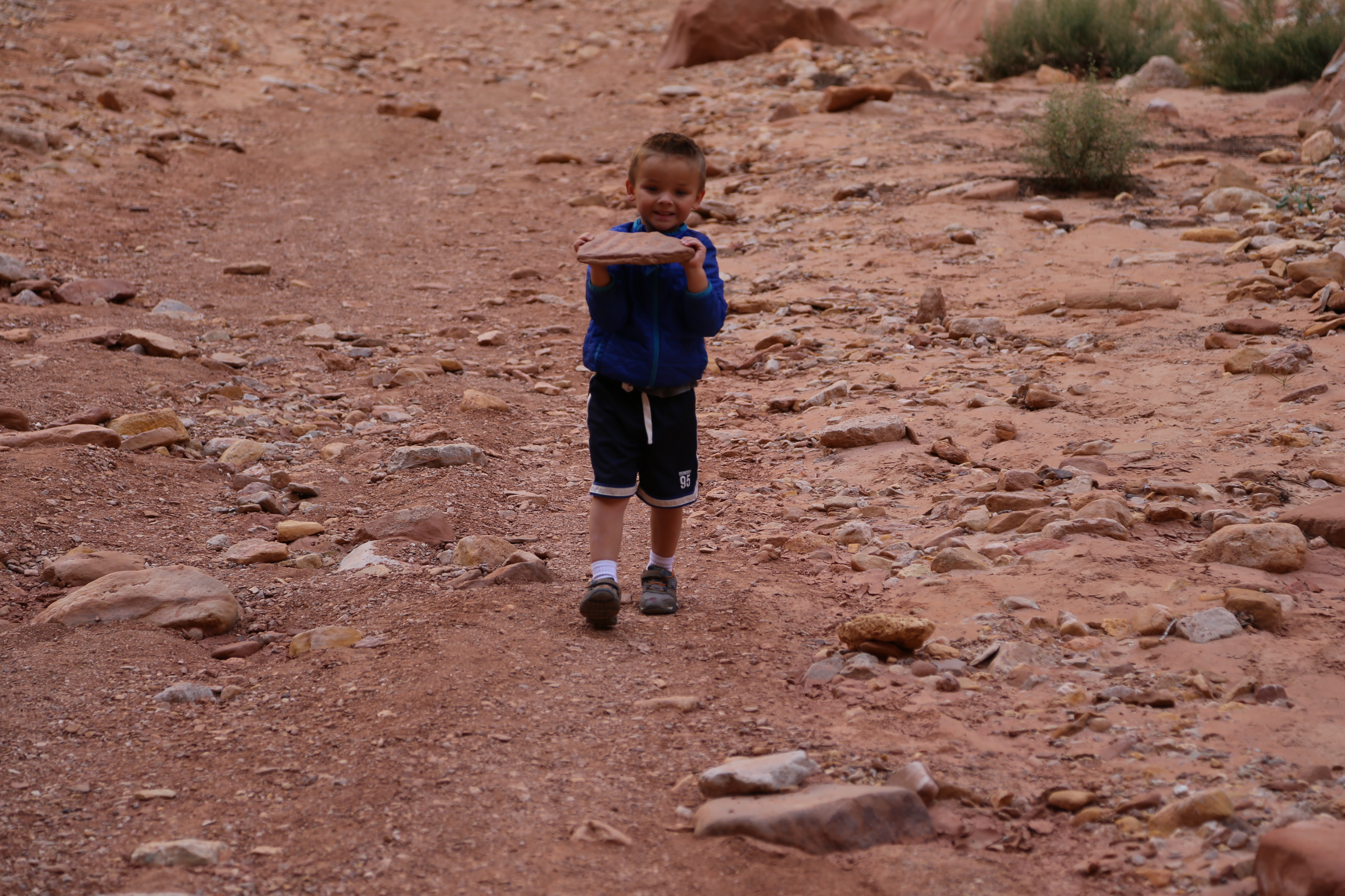 2015 Fall Break - Day 2 - Capitol Reef National Park (Grand Wash Narrows, Capitol Gorge (Petroglyphs, Narrows, Pioneer Register), Waterpocket Fold Drive (Notom-Bullfrog Road, Burr Trail Road), Hell's Backbone Grill (Boulder, Utah))