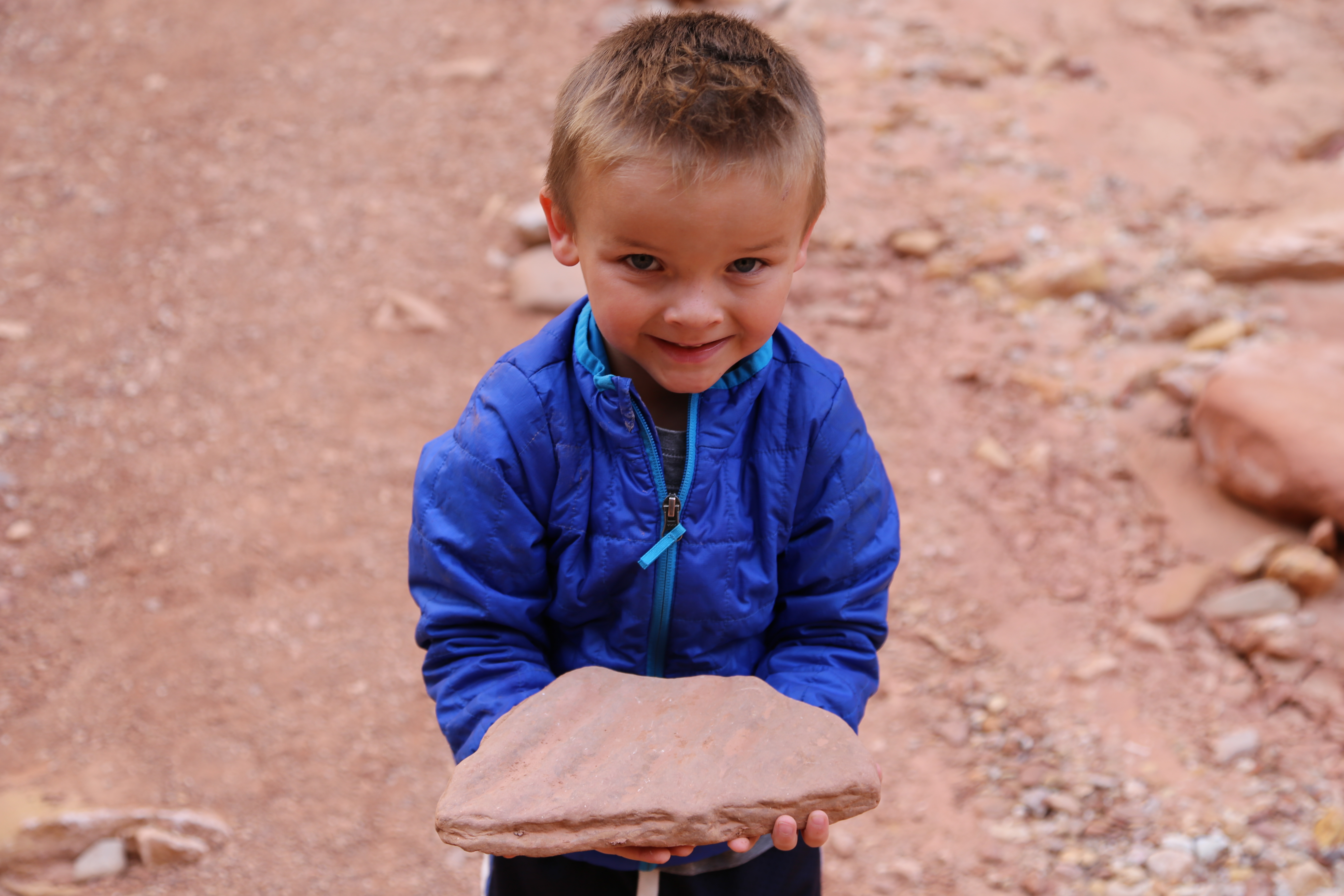 2015 Fall Break - Day 2 - Capitol Reef National Park (Grand Wash Narrows, Capitol Gorge (Petroglyphs, Narrows, Pioneer Register), Waterpocket Fold Drive (Notom-Bullfrog Road, Burr Trail Road), Hell's Backbone Grill (Boulder, Utah))