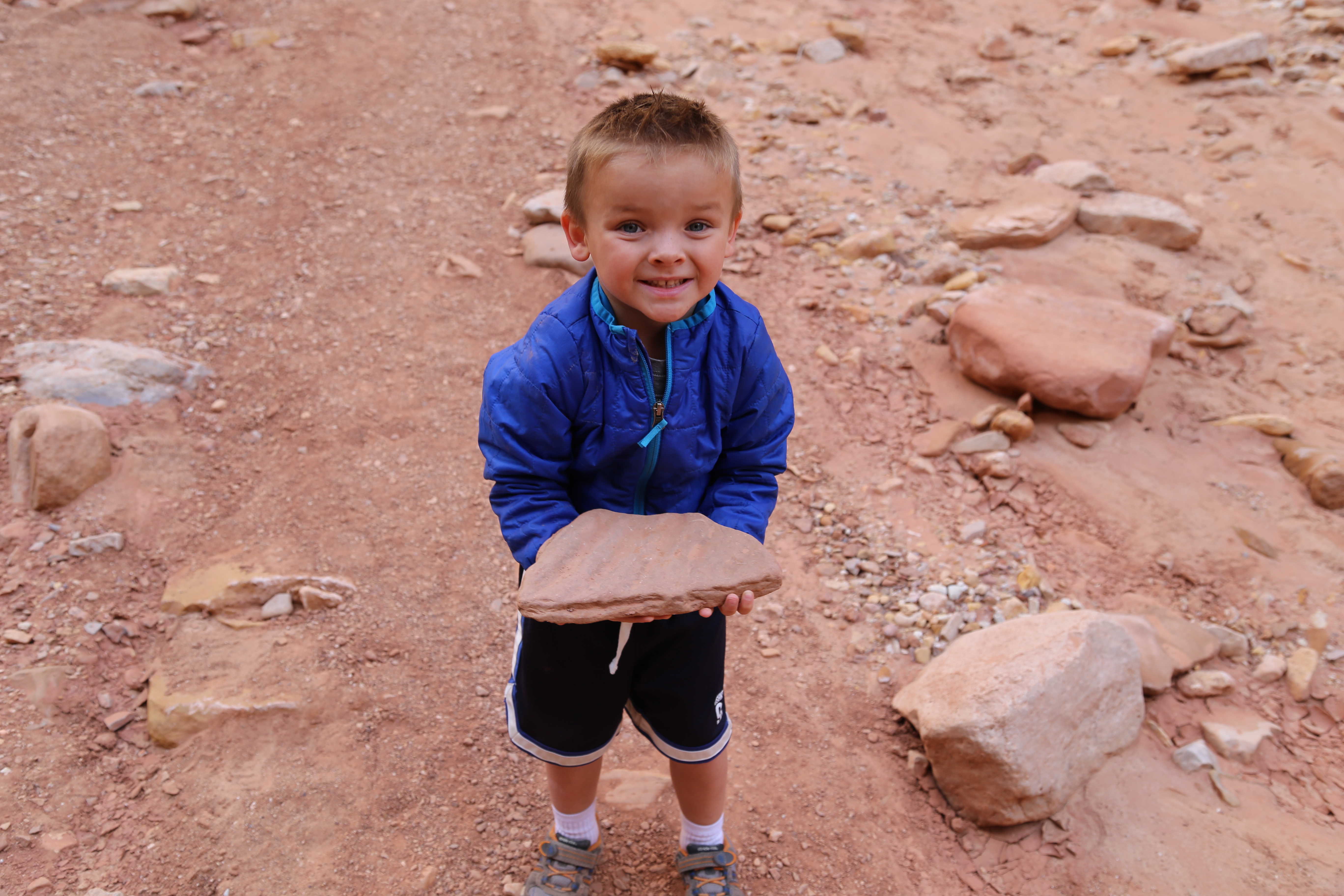 2015 Fall Break - Day 2 - Capitol Reef National Park (Grand Wash Narrows, Capitol Gorge (Petroglyphs, Narrows, Pioneer Register), Waterpocket Fold Drive (Notom-Bullfrog Road, Burr Trail Road), Hell's Backbone Grill (Boulder, Utah))