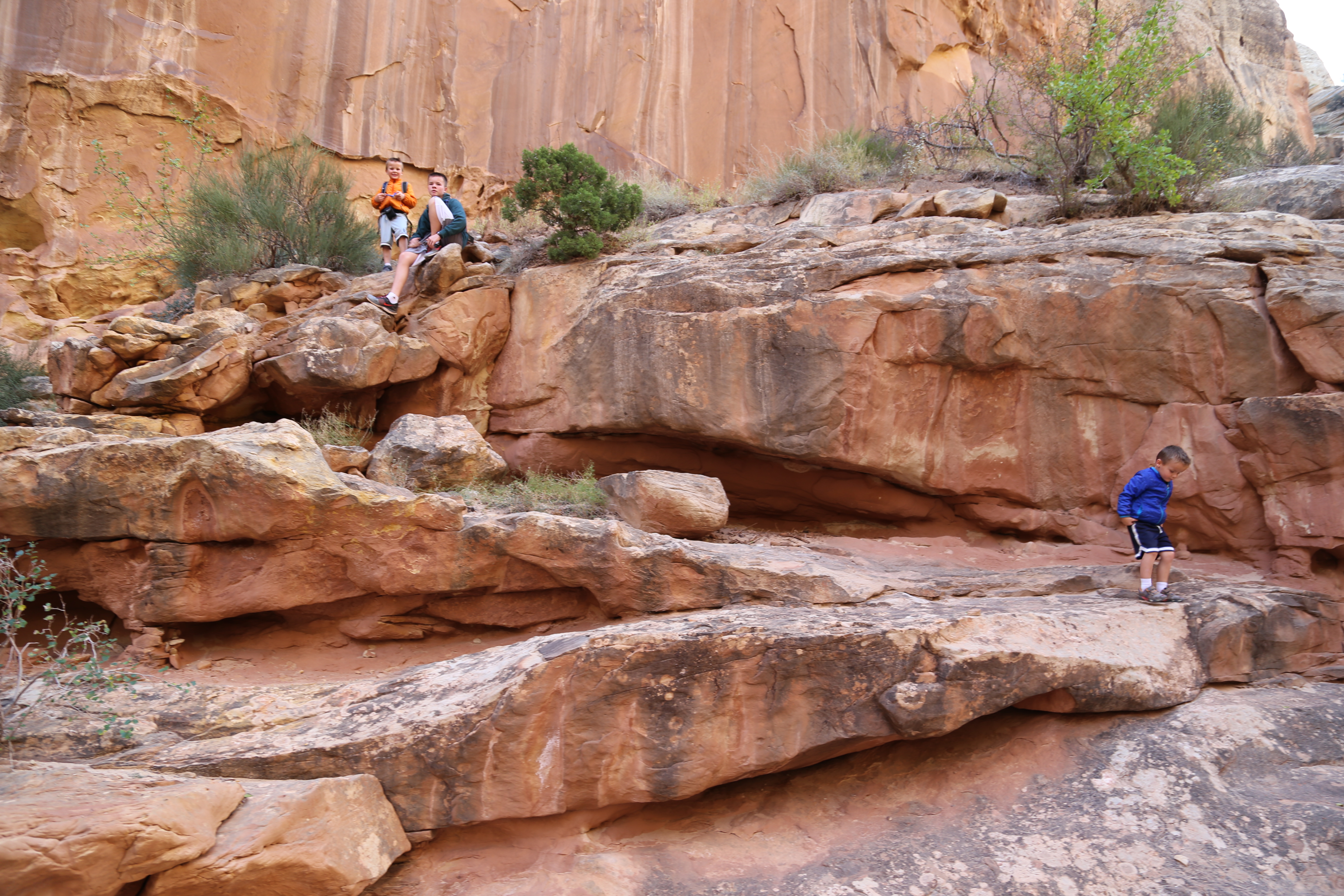 2015 Fall Break - Day 2 - Capitol Reef National Park (Grand Wash Narrows, Capitol Gorge (Petroglyphs, Narrows, Pioneer Register), Waterpocket Fold Drive (Notom-Bullfrog Road, Burr Trail Road), Hell's Backbone Grill (Boulder, Utah))