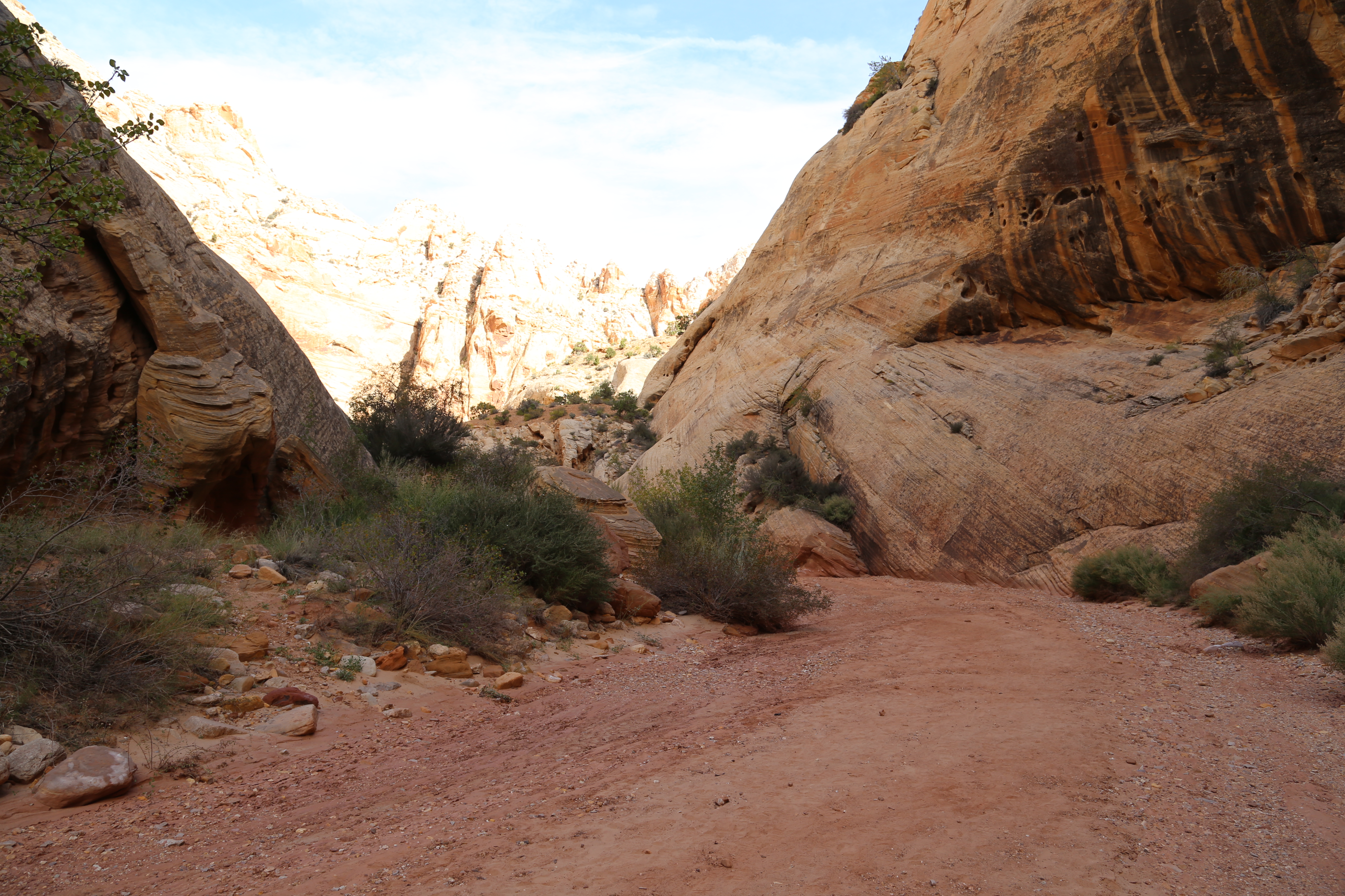 2015 Fall Break - Day 2 - Capitol Reef National Park (Grand Wash Narrows, Capitol Gorge (Petroglyphs, Narrows, Pioneer Register), Waterpocket Fold Drive (Notom-Bullfrog Road, Burr Trail Road), Hell's Backbone Grill (Boulder, Utah))