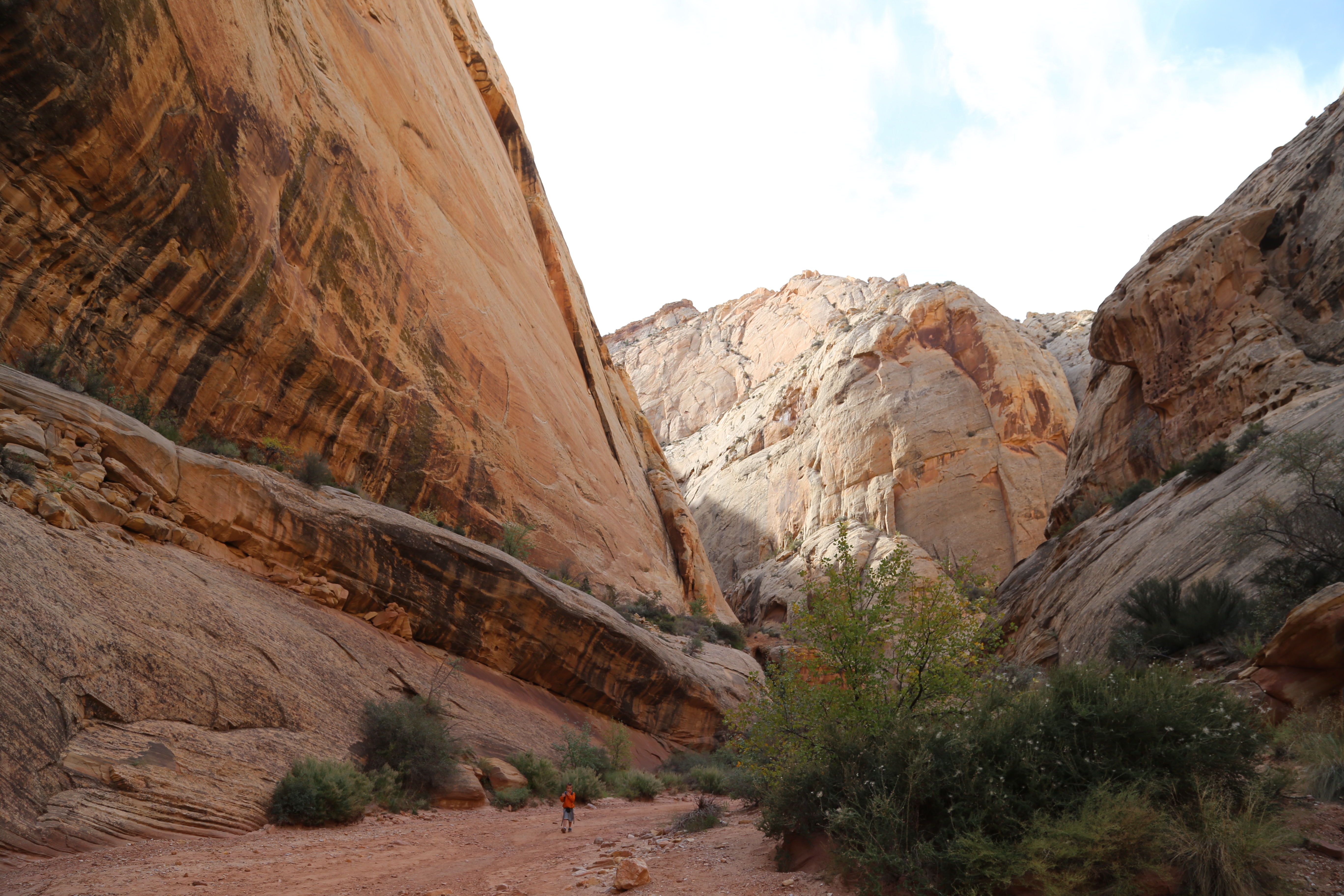 2015 Fall Break - Day 2 - Capitol Reef National Park (Grand Wash Narrows, Capitol Gorge (Petroglyphs, Narrows, Pioneer Register), Waterpocket Fold Drive (Notom-Bullfrog Road, Burr Trail Road), Hell's Backbone Grill (Boulder, Utah))