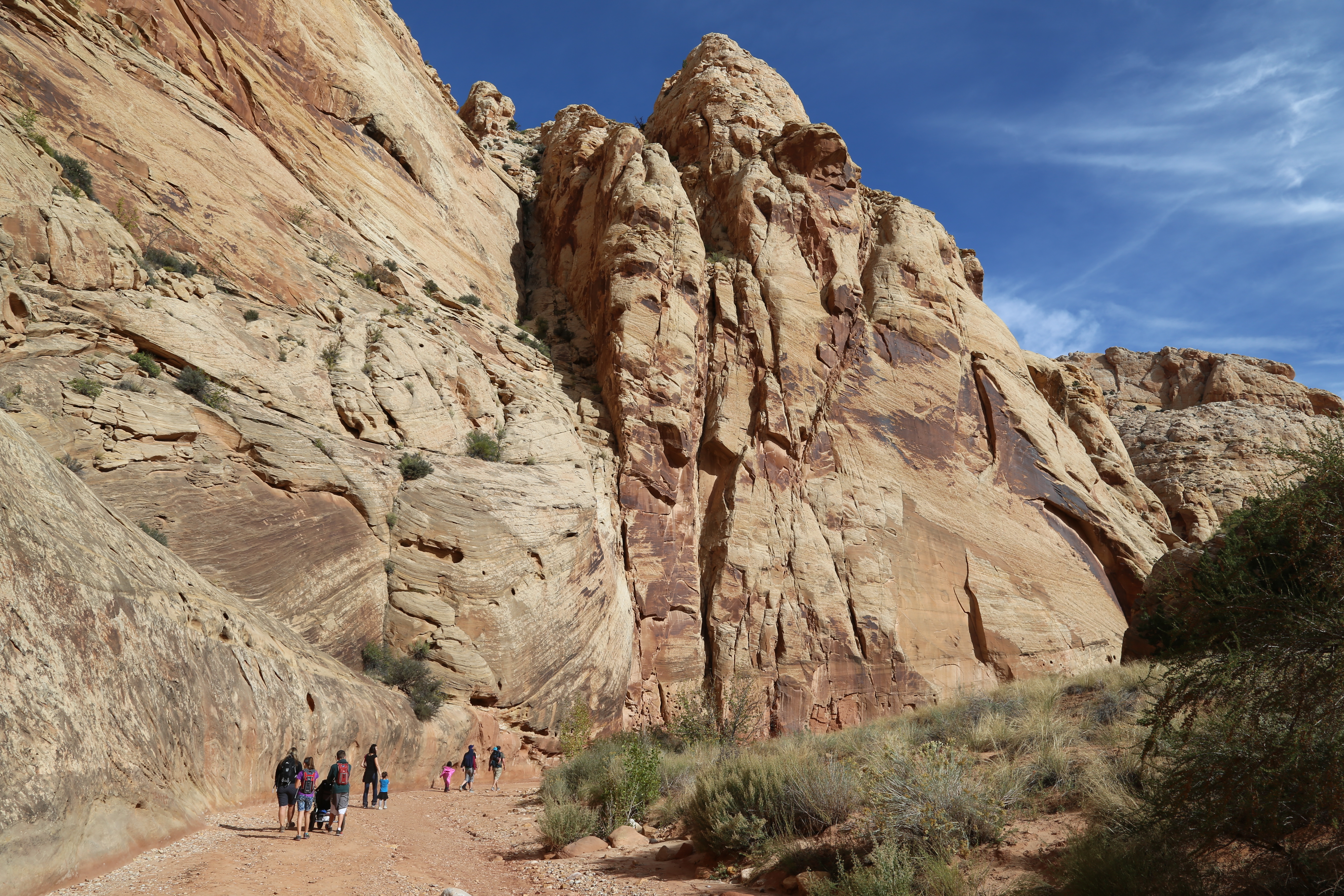 2015 Fall Break - Day 2 - Capitol Reef National Park (Grand Wash Narrows, Capitol Gorge (Petroglyphs, Narrows, Pioneer Register), Waterpocket Fold Drive (Notom-Bullfrog Road, Burr Trail Road), Hell's Backbone Grill (Boulder, Utah))