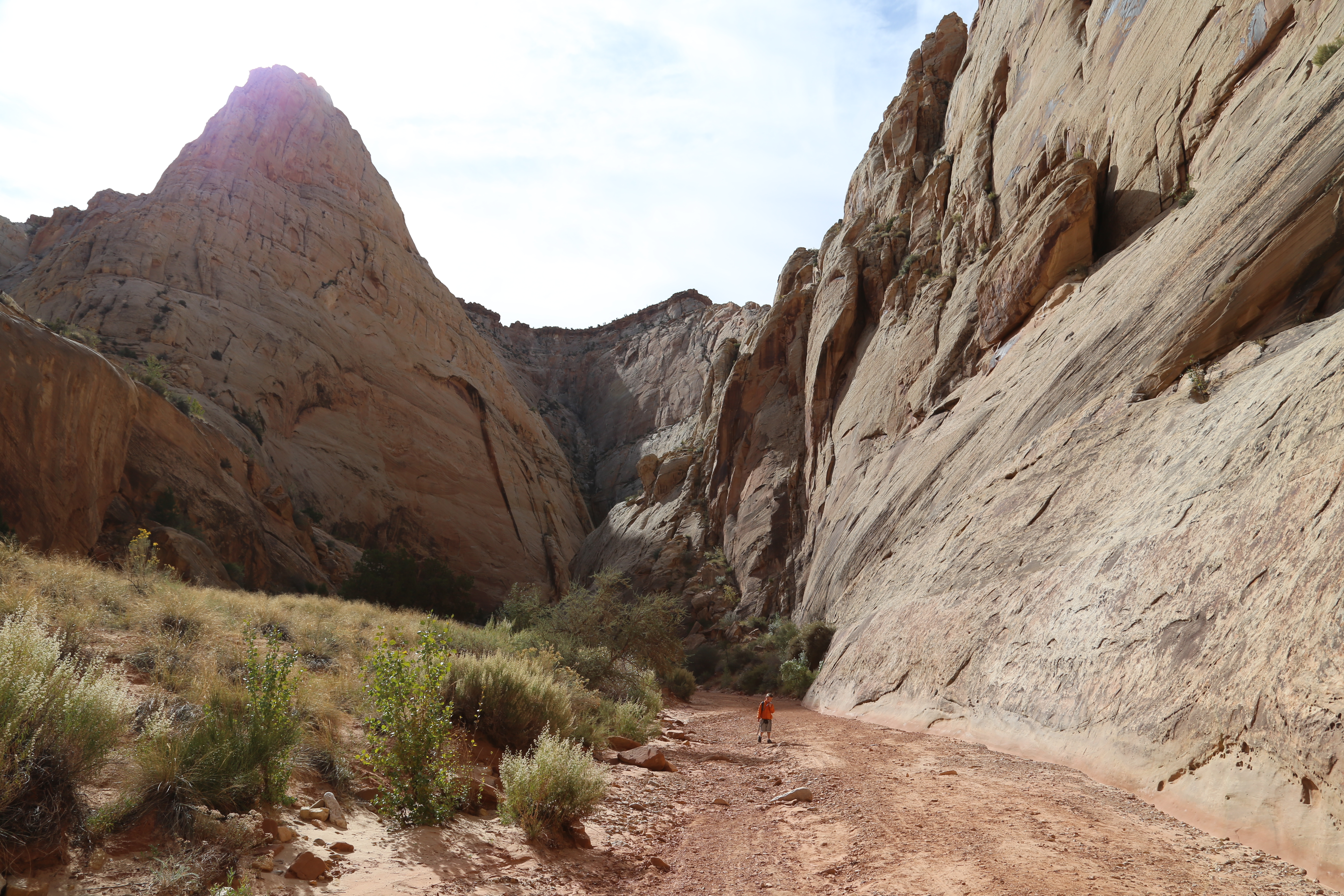 2015 Fall Break - Day 2 - Capitol Reef National Park (Grand Wash Narrows, Capitol Gorge (Petroglyphs, Narrows, Pioneer Register), Waterpocket Fold Drive (Notom-Bullfrog Road, Burr Trail Road), Hell's Backbone Grill (Boulder, Utah))