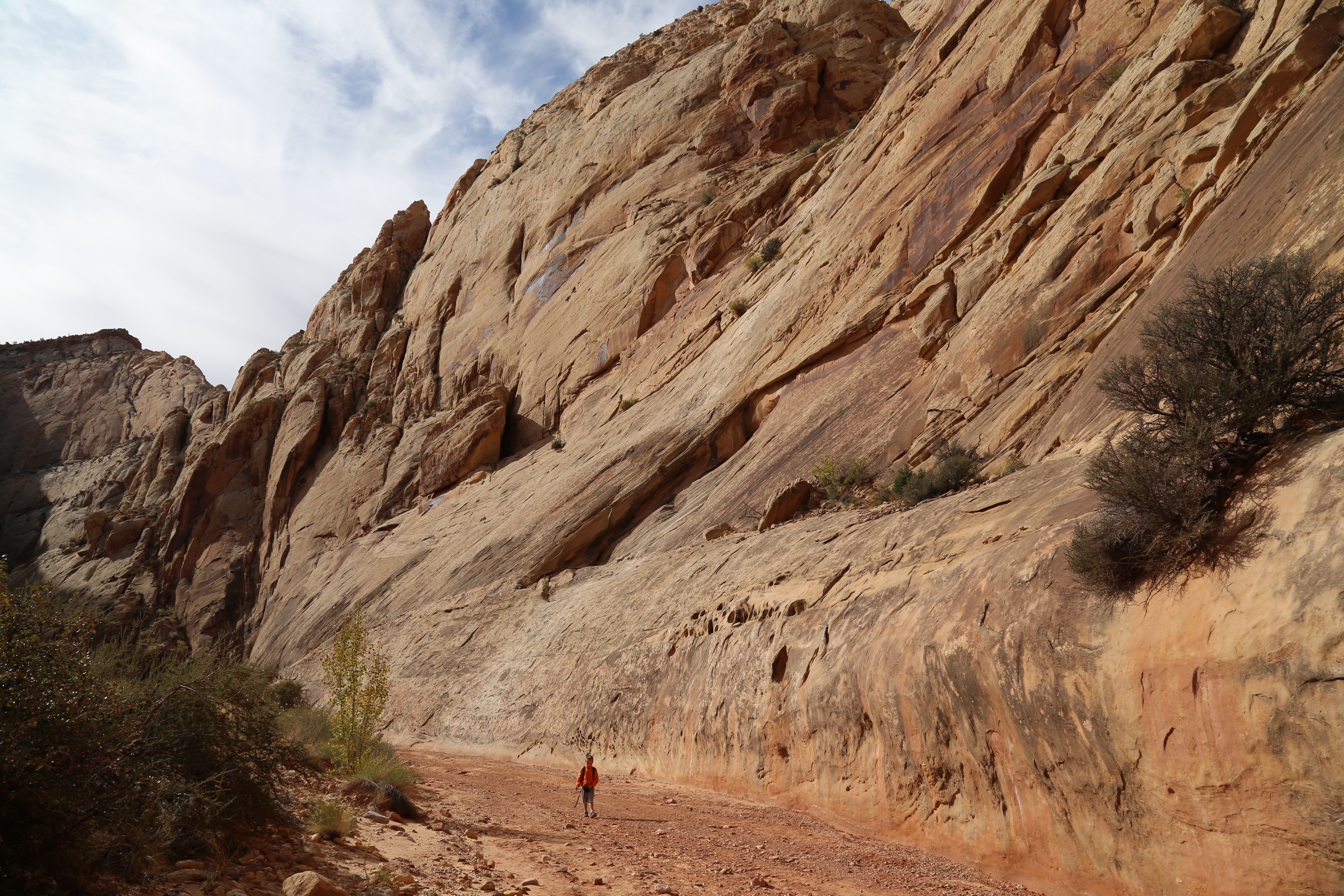 2015 Fall Break - Day 2 - Capitol Reef National Park (Grand Wash Narrows, Capitol Gorge (Petroglyphs, Narrows, Pioneer Register), Waterpocket Fold Drive (Notom-Bullfrog Road, Burr Trail Road), Hell's Backbone Grill (Boulder, Utah))