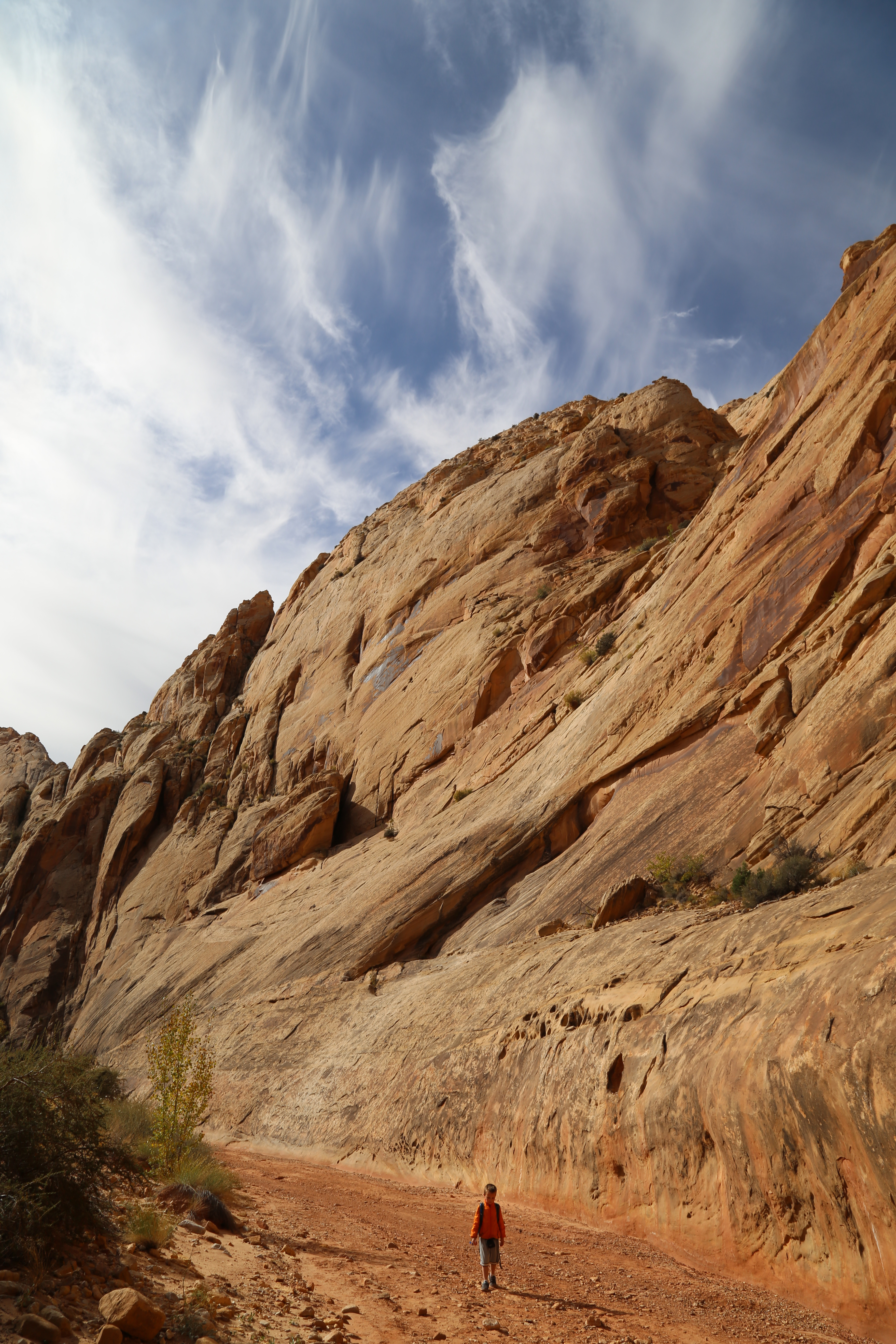 2015 Fall Break - Day 2 - Capitol Reef National Park (Grand Wash Narrows, Capitol Gorge (Petroglyphs, Narrows, Pioneer Register), Waterpocket Fold Drive (Notom-Bullfrog Road, Burr Trail Road), Hell's Backbone Grill (Boulder, Utah))