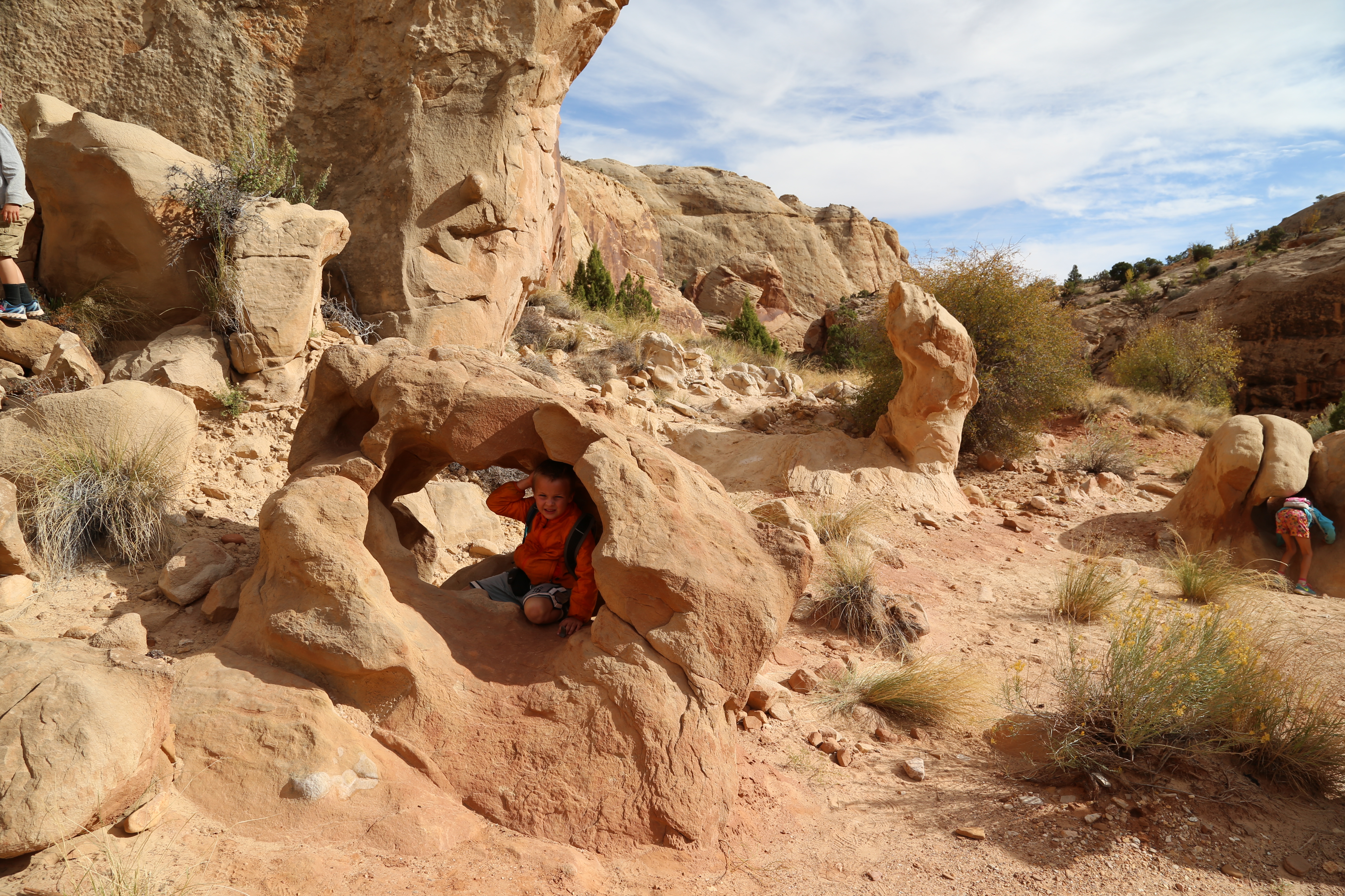 2015 Fall Break - Day 2 - Capitol Reef National Park (Grand Wash Narrows, Capitol Gorge (Petroglyphs, Narrows, Pioneer Register), Waterpocket Fold Drive (Notom-Bullfrog Road, Burr Trail Road), Hell's Backbone Grill (Boulder, Utah))