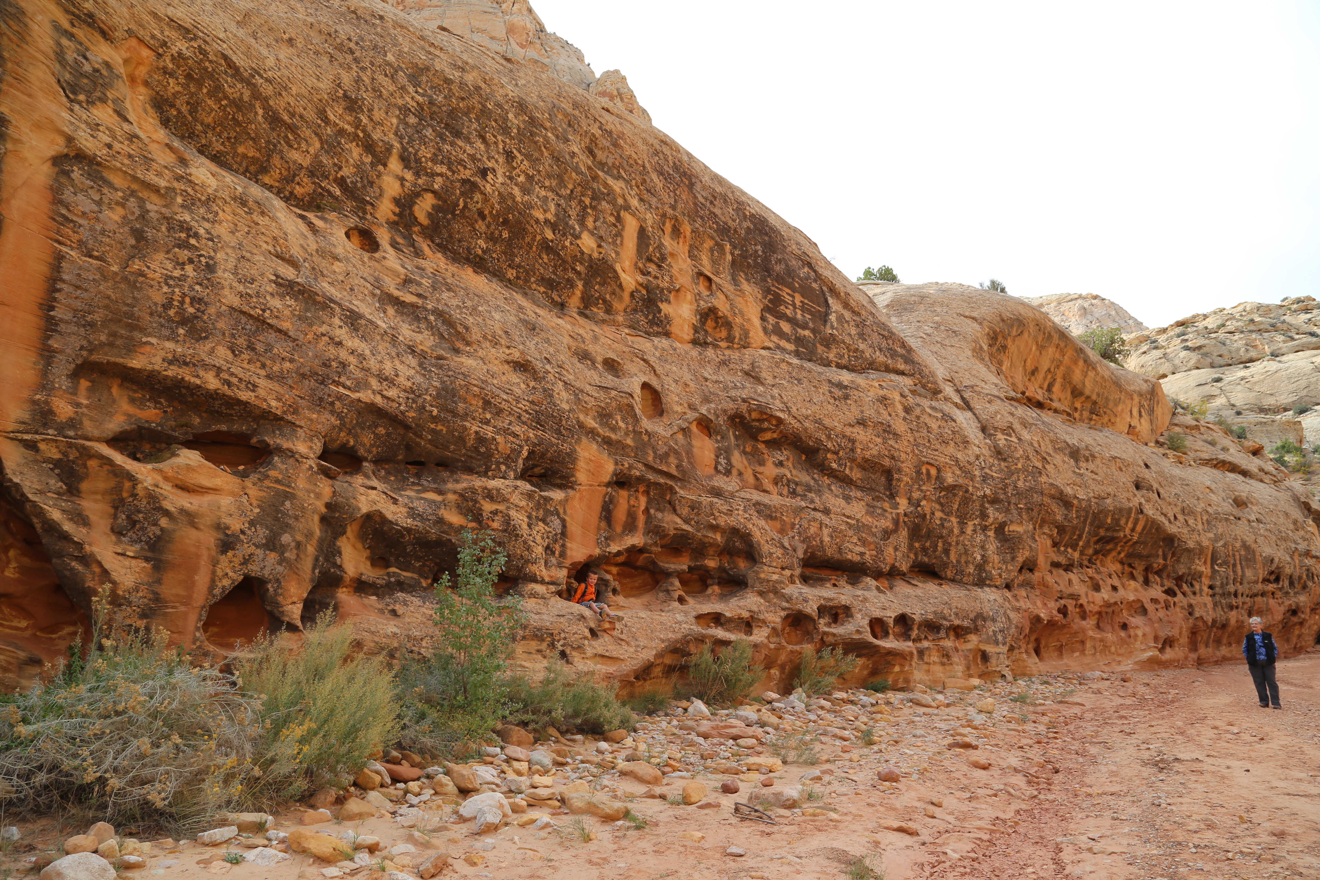 2015 Fall Break - Day 2 - Capitol Reef National Park (Grand Wash Narrows, Capitol Gorge (Petroglyphs, Narrows, Pioneer Register), Waterpocket Fold Drive (Notom-Bullfrog Road, Burr Trail Road), Hell's Backbone Grill (Boulder, Utah))