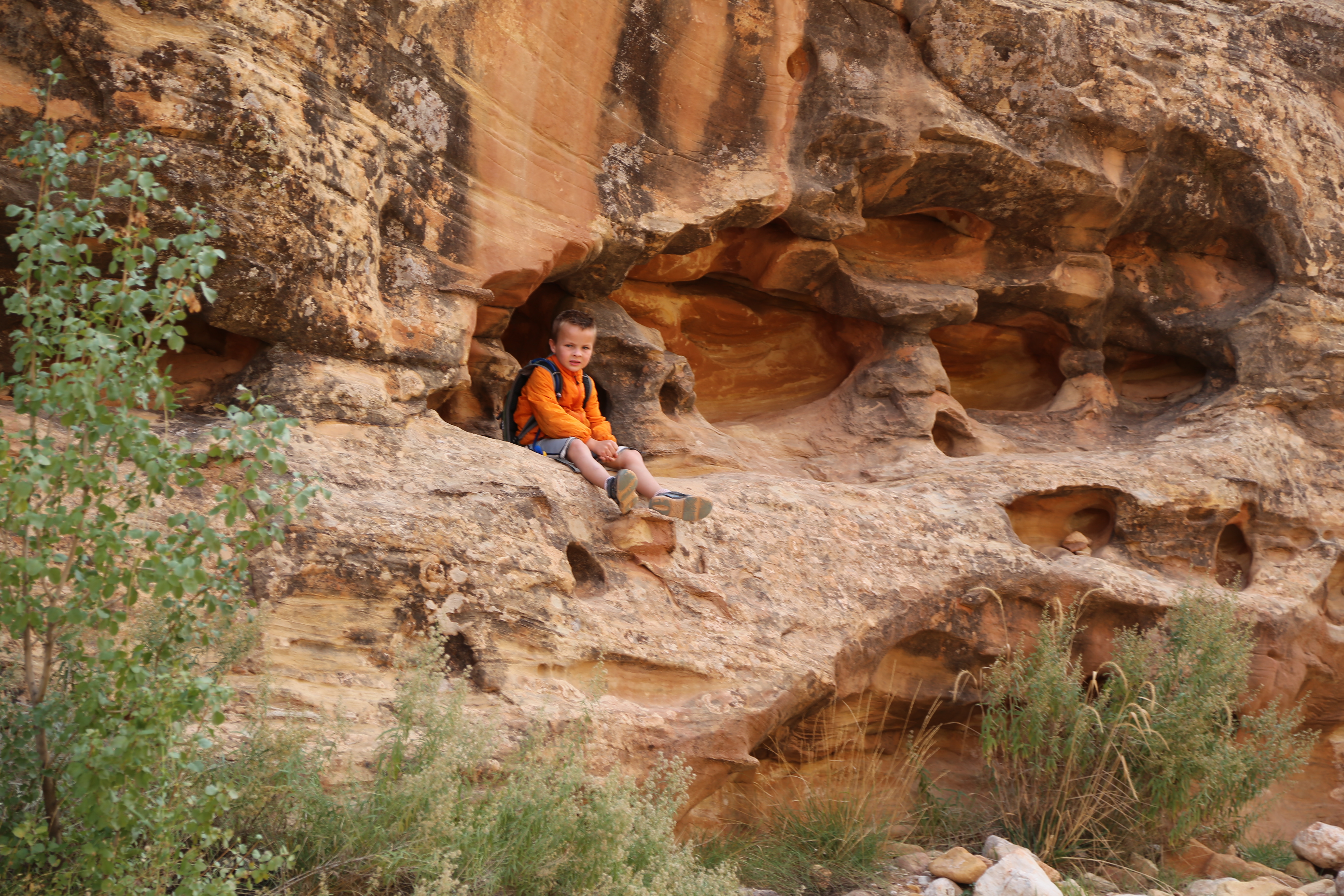 2015 Fall Break - Day 2 - Capitol Reef National Park (Grand Wash Narrows, Capitol Gorge (Petroglyphs, Narrows, Pioneer Register), Waterpocket Fold Drive (Notom-Bullfrog Road, Burr Trail Road), Hell's Backbone Grill (Boulder, Utah))