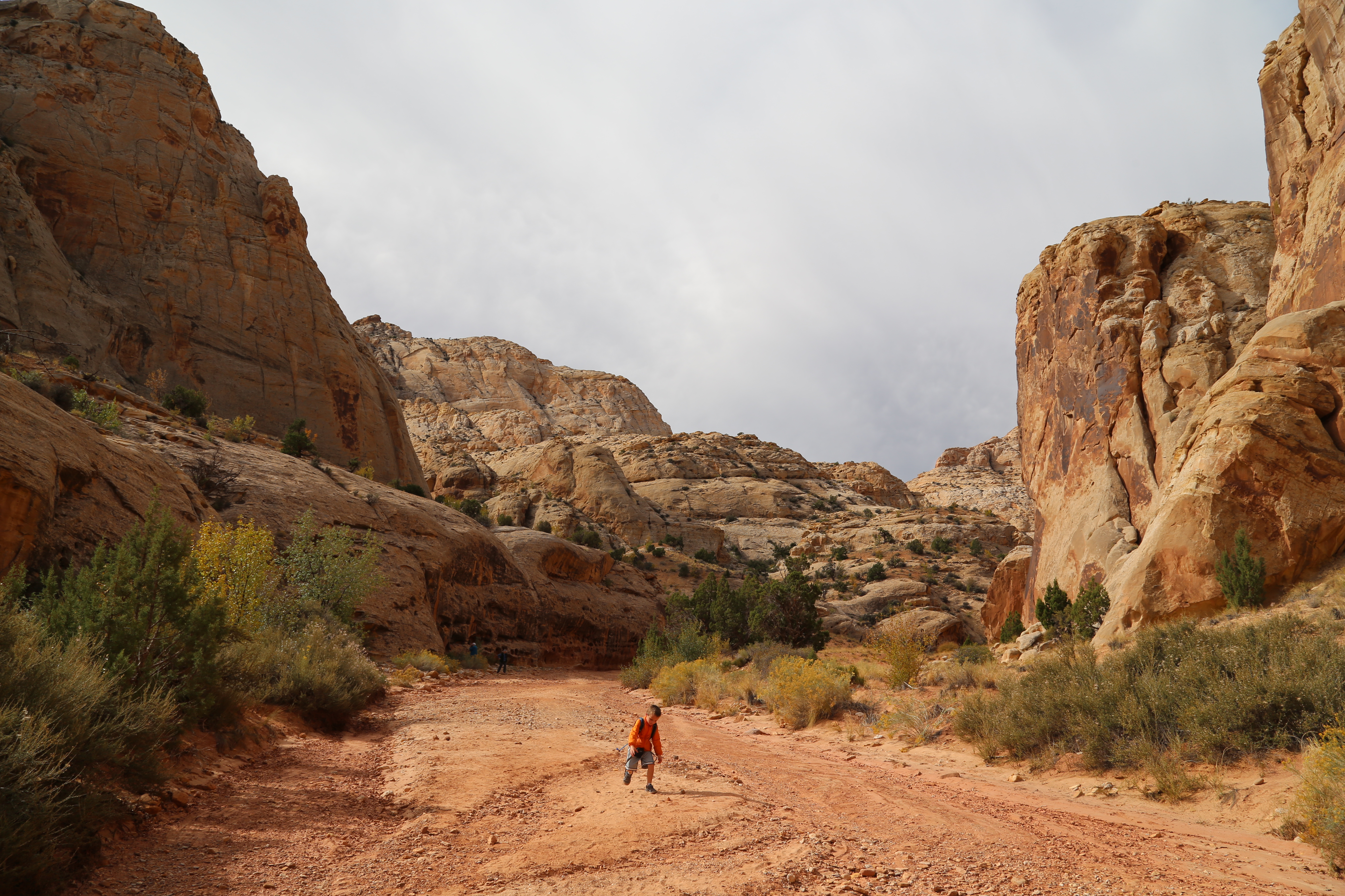 2015 Fall Break - Day 2 - Capitol Reef National Park (Grand Wash Narrows, Capitol Gorge (Petroglyphs, Narrows, Pioneer Register), Waterpocket Fold Drive (Notom-Bullfrog Road, Burr Trail Road), Hell's Backbone Grill (Boulder, Utah))