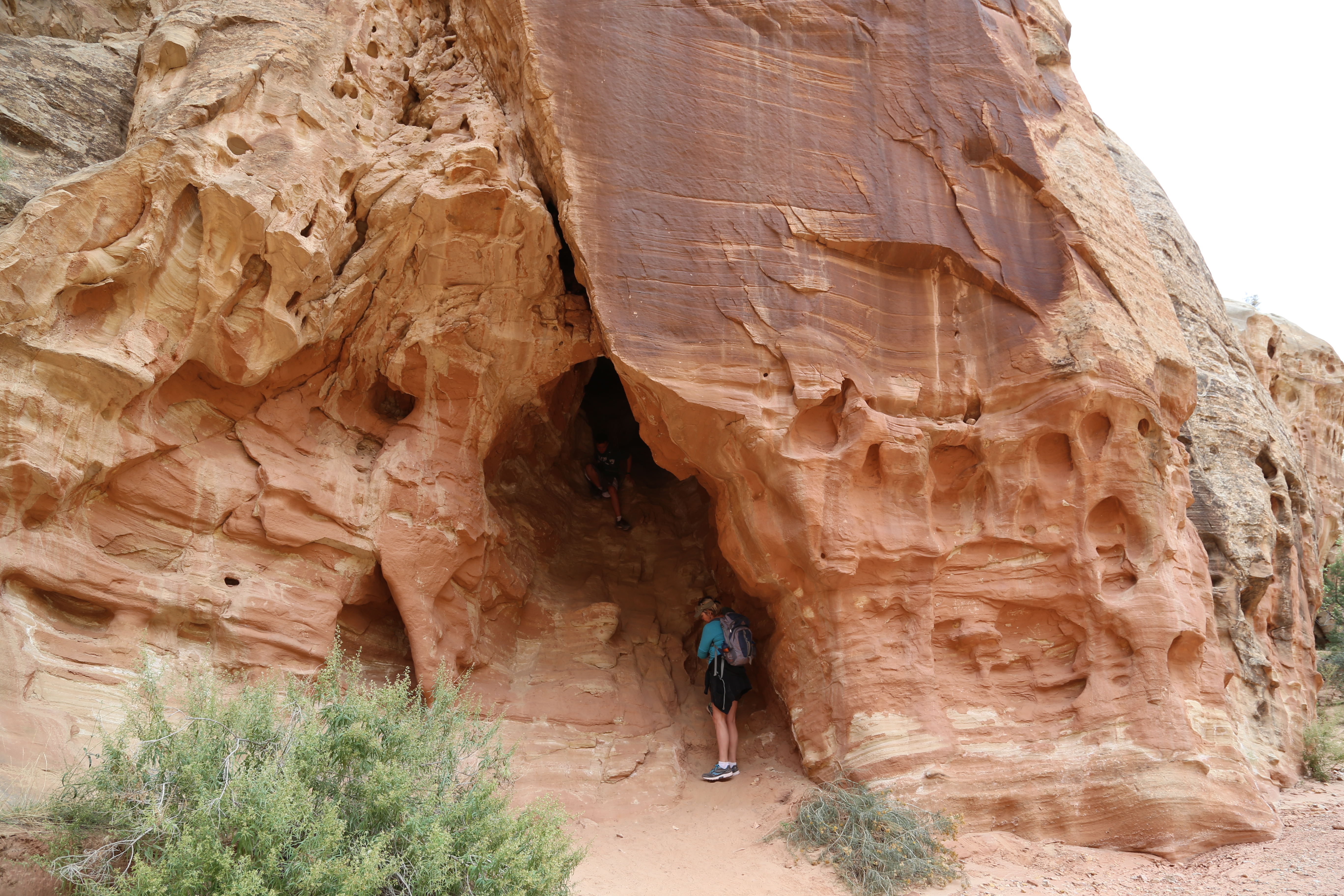 2015 Fall Break - Day 2 - Capitol Reef National Park (Grand Wash Narrows, Capitol Gorge (Petroglyphs, Narrows, Pioneer Register), Waterpocket Fold Drive (Notom-Bullfrog Road, Burr Trail Road), Hell's Backbone Grill (Boulder, Utah))