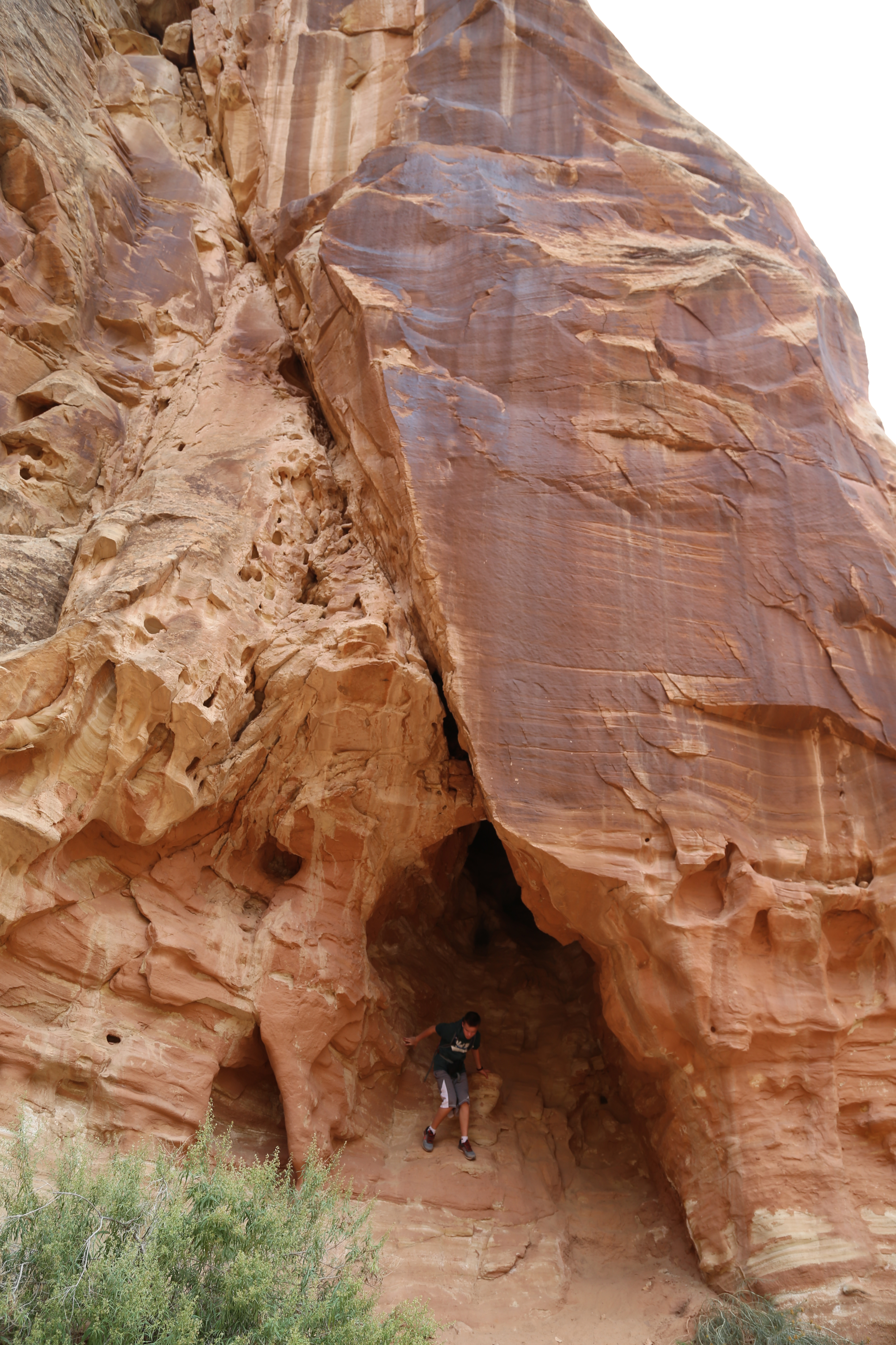 2015 Fall Break - Day 2 - Capitol Reef National Park (Grand Wash Narrows, Capitol Gorge (Petroglyphs, Narrows, Pioneer Register), Waterpocket Fold Drive (Notom-Bullfrog Road, Burr Trail Road), Hell's Backbone Grill (Boulder, Utah))