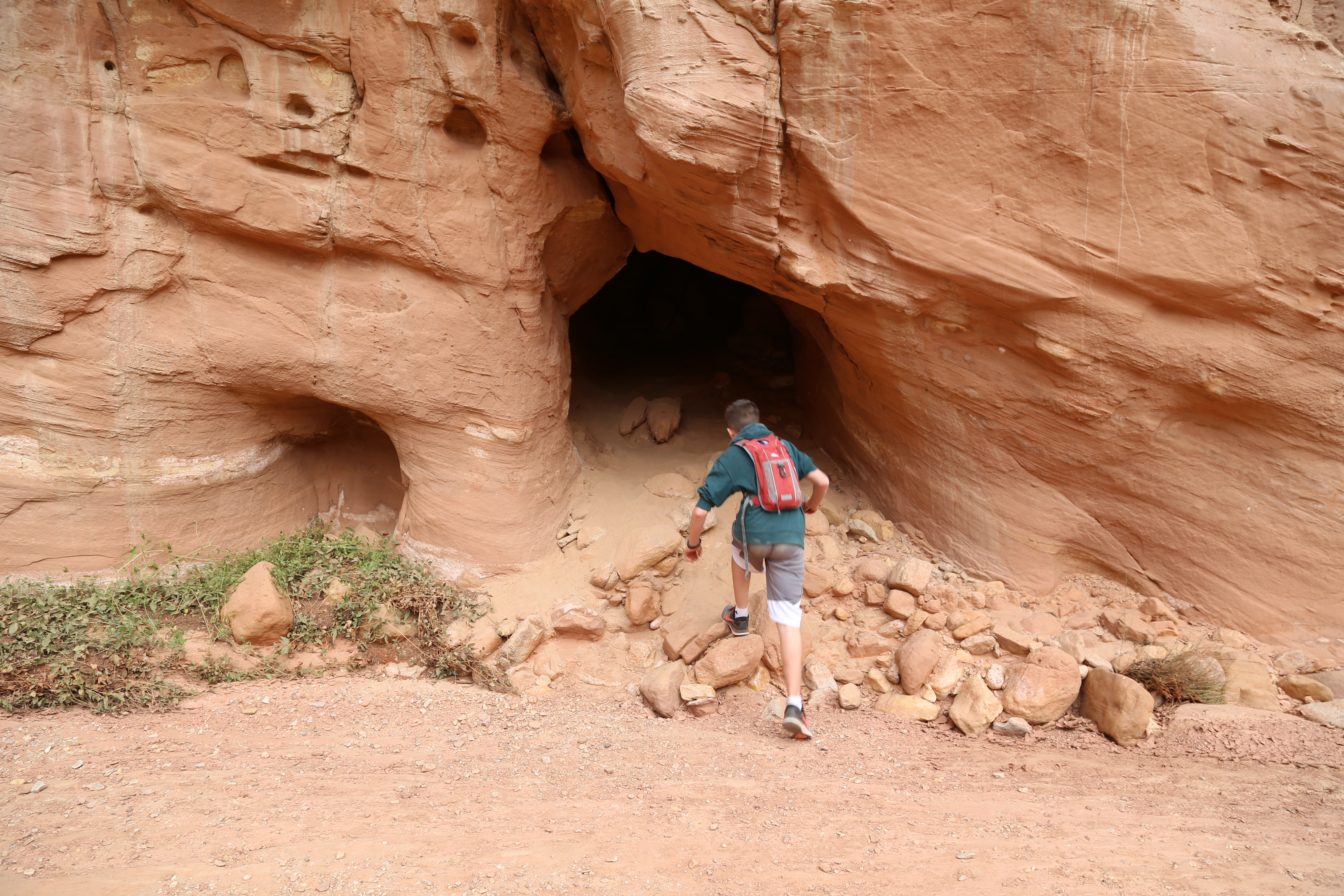 2015 Fall Break - Day 2 - Capitol Reef National Park (Grand Wash Narrows, Capitol Gorge (Petroglyphs, Narrows, Pioneer Register), Waterpocket Fold Drive (Notom-Bullfrog Road, Burr Trail Road), Hell's Backbone Grill (Boulder, Utah))