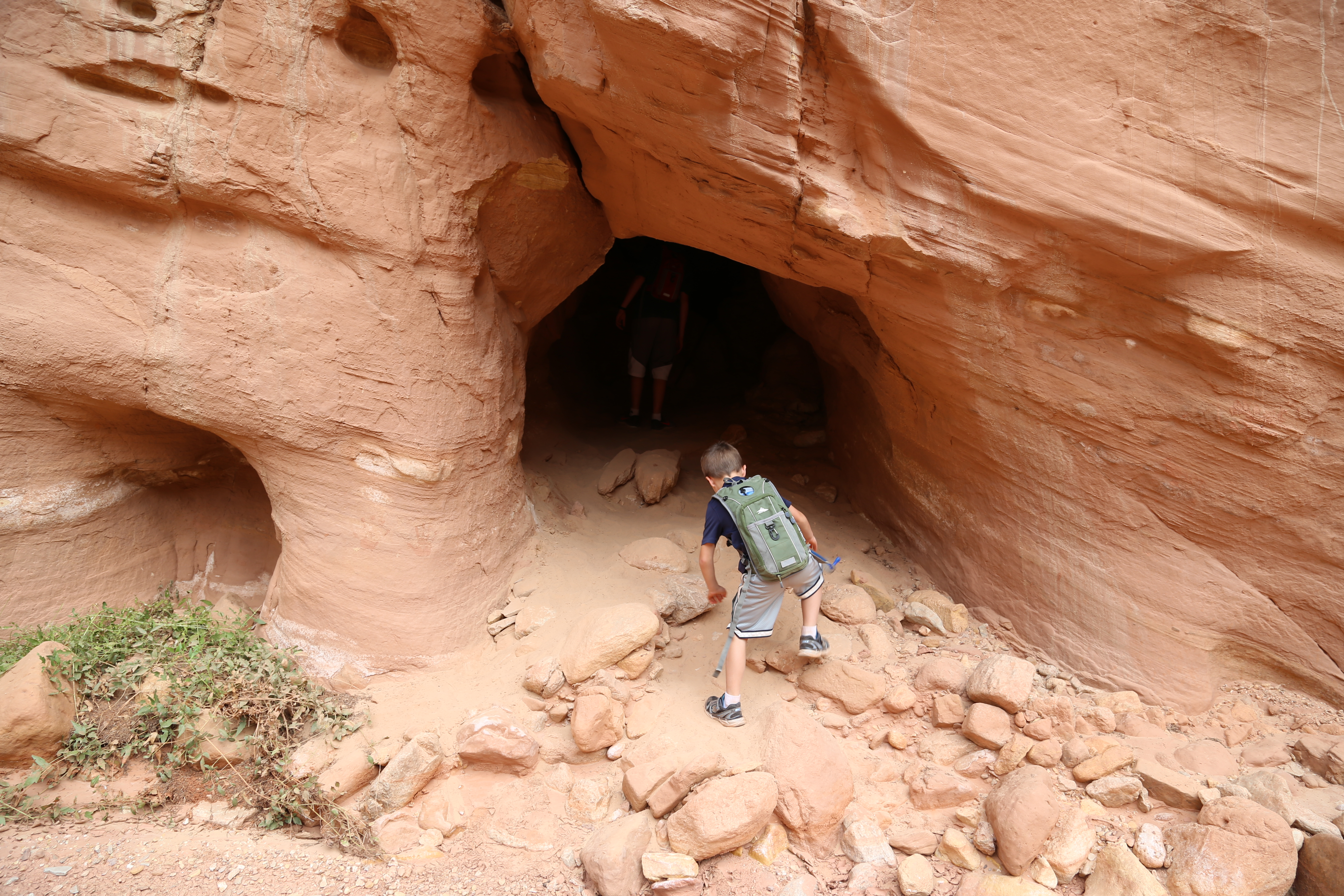 2015 Fall Break - Day 2 - Capitol Reef National Park (Grand Wash Narrows, Capitol Gorge (Petroglyphs, Narrows, Pioneer Register), Waterpocket Fold Drive (Notom-Bullfrog Road, Burr Trail Road), Hell's Backbone Grill (Boulder, Utah))