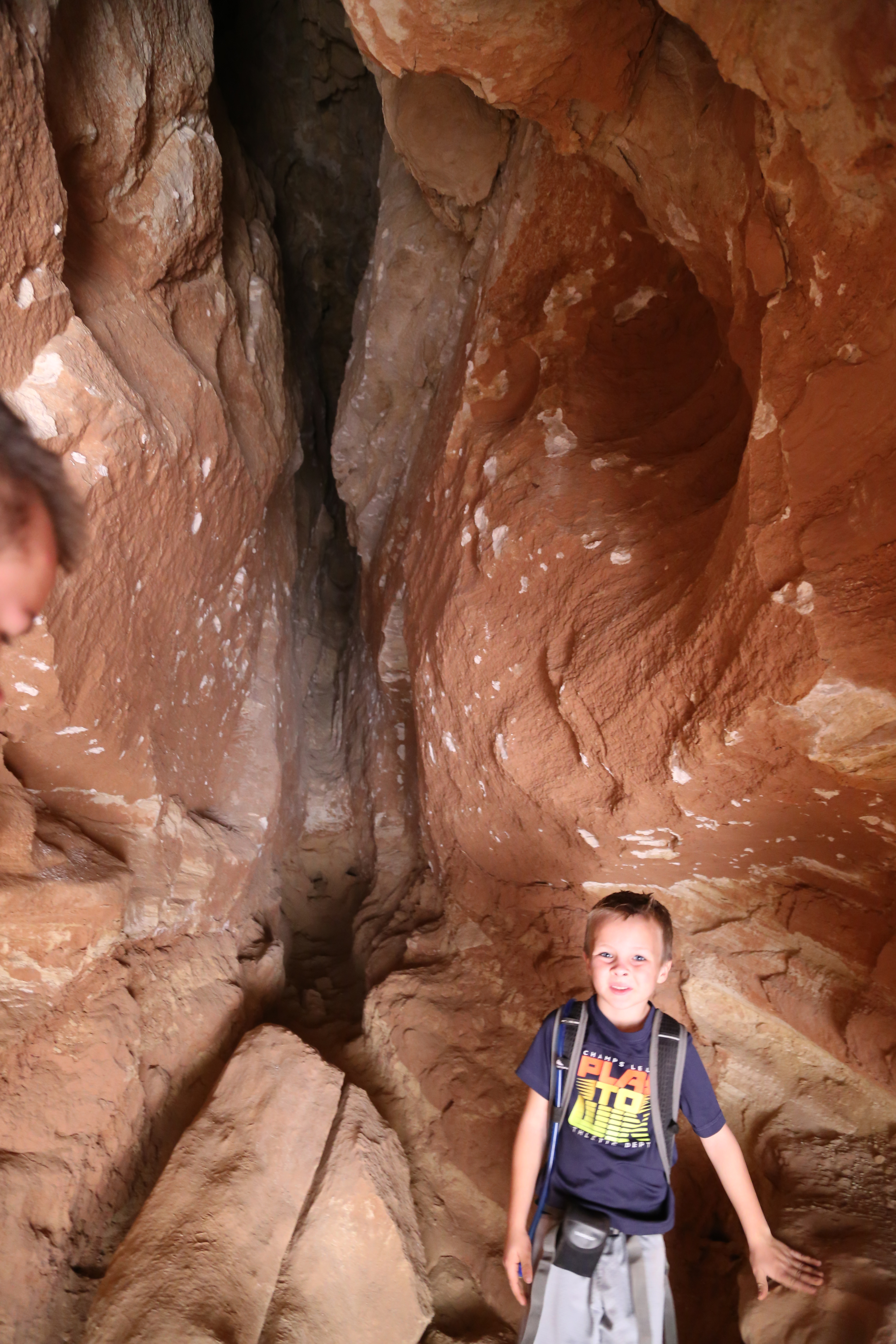 2015 Fall Break - Day 2 - Capitol Reef National Park (Grand Wash Narrows, Capitol Gorge (Petroglyphs, Narrows, Pioneer Register), Waterpocket Fold Drive (Notom-Bullfrog Road, Burr Trail Road), Hell's Backbone Grill (Boulder, Utah))