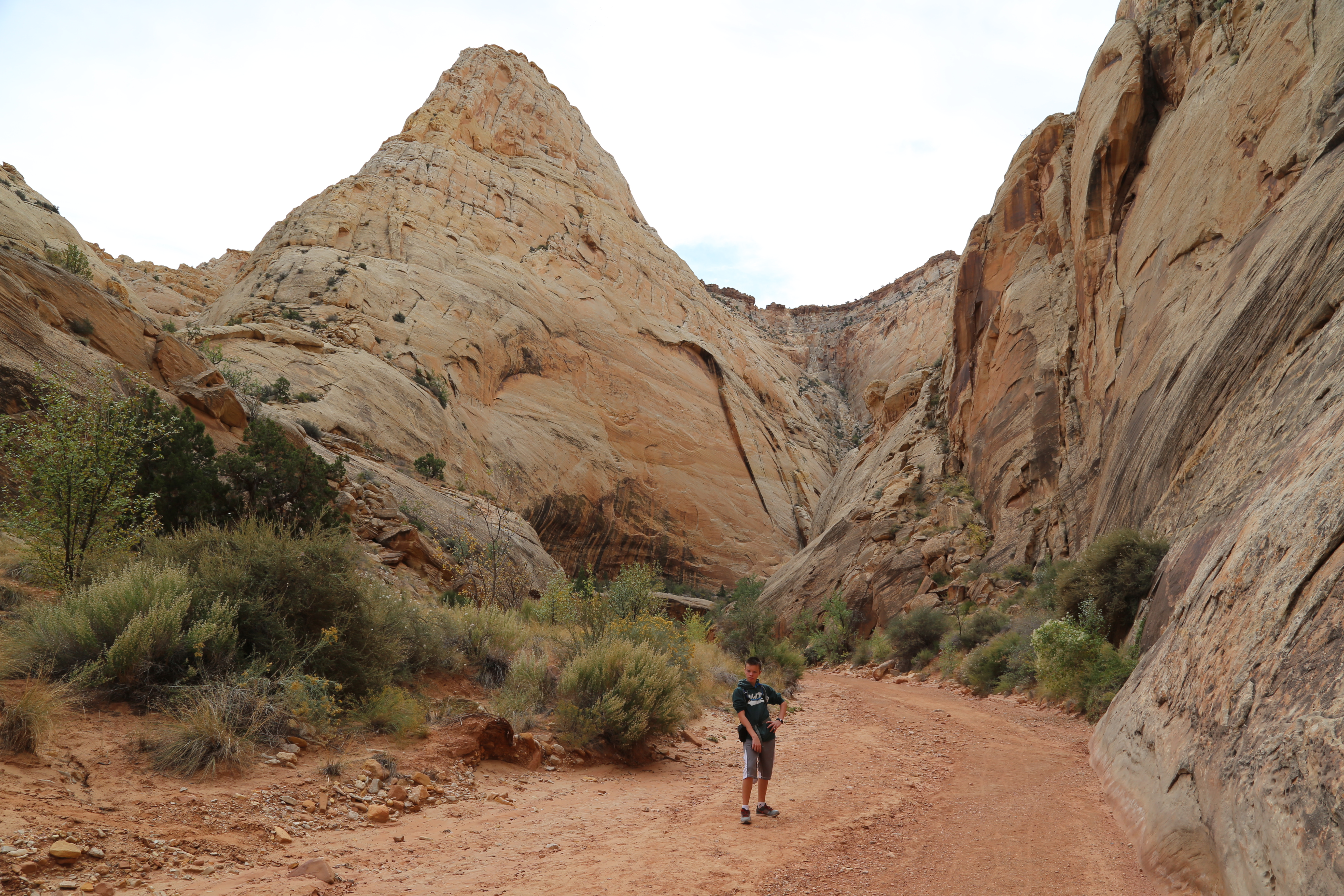 2015 Fall Break - Day 2 - Capitol Reef National Park (Grand Wash Narrows, Capitol Gorge (Petroglyphs, Narrows, Pioneer Register), Waterpocket Fold Drive (Notom-Bullfrog Road, Burr Trail Road), Hell's Backbone Grill (Boulder, Utah))