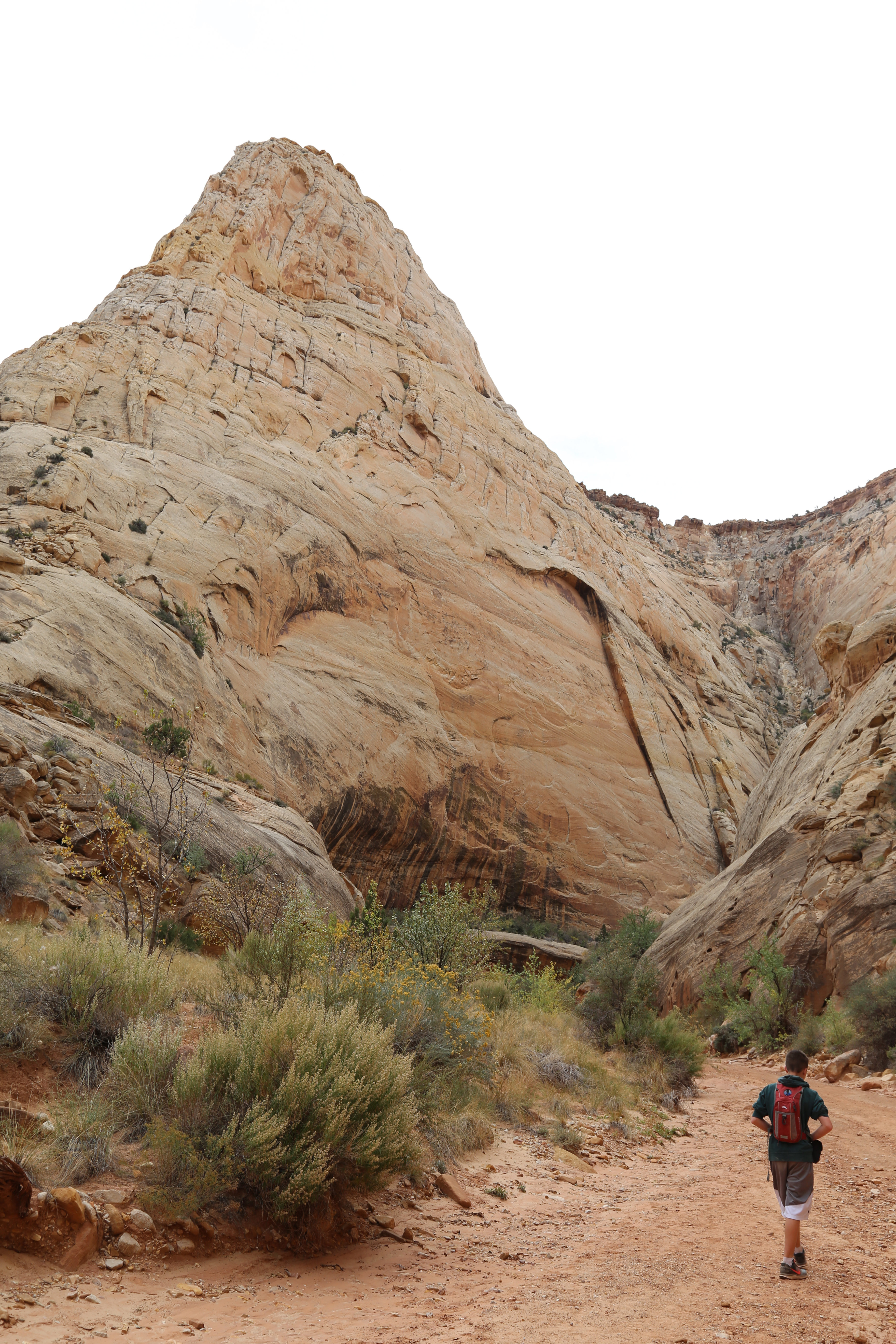 2015 Fall Break - Day 2 - Capitol Reef National Park (Grand Wash Narrows, Capitol Gorge (Petroglyphs, Narrows, Pioneer Register), Waterpocket Fold Drive (Notom-Bullfrog Road, Burr Trail Road), Hell's Backbone Grill (Boulder, Utah))