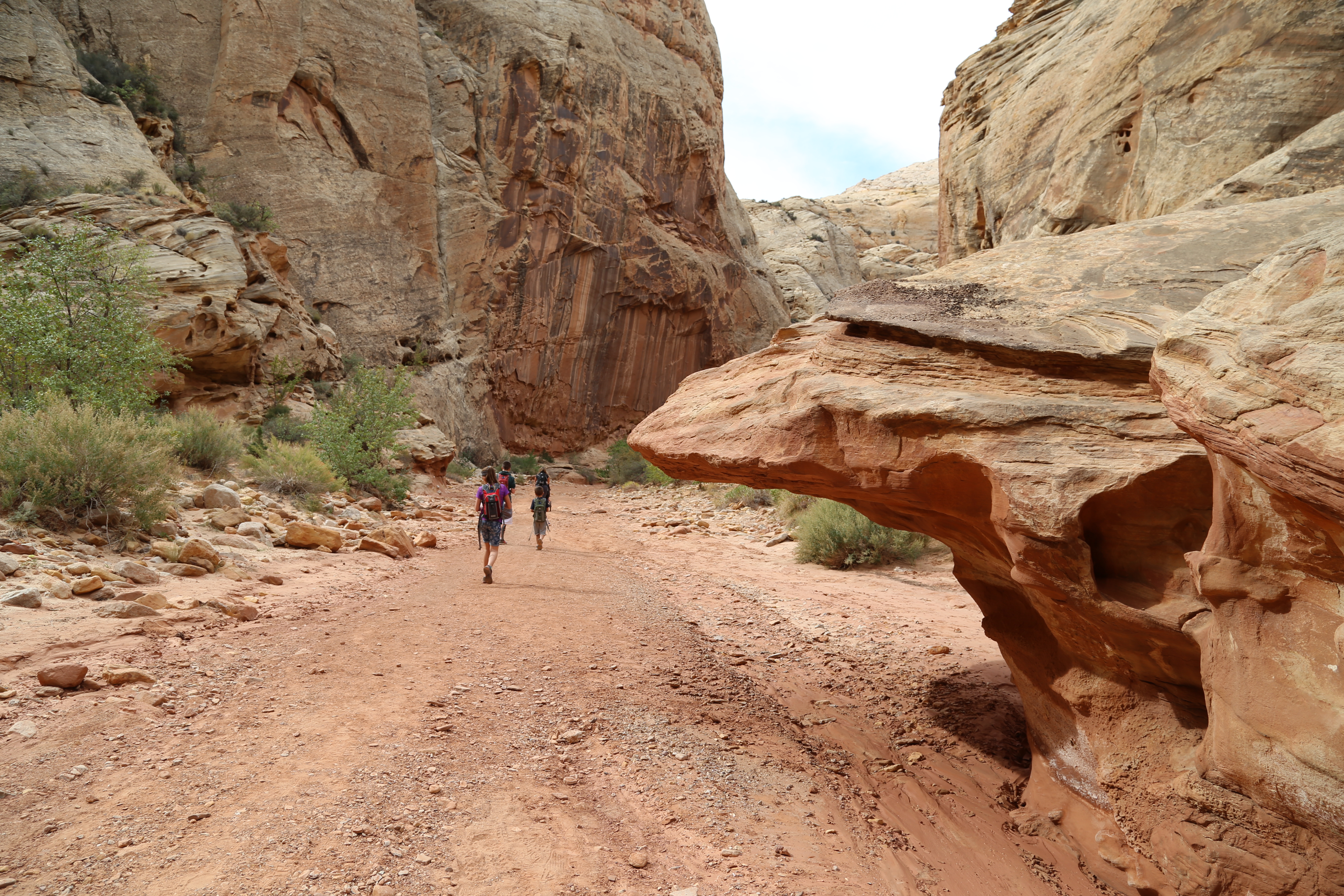 2015 Fall Break - Day 2 - Capitol Reef National Park (Grand Wash Narrows, Capitol Gorge (Petroglyphs, Narrows, Pioneer Register), Waterpocket Fold Drive (Notom-Bullfrog Road, Burr Trail Road), Hell's Backbone Grill (Boulder, Utah))