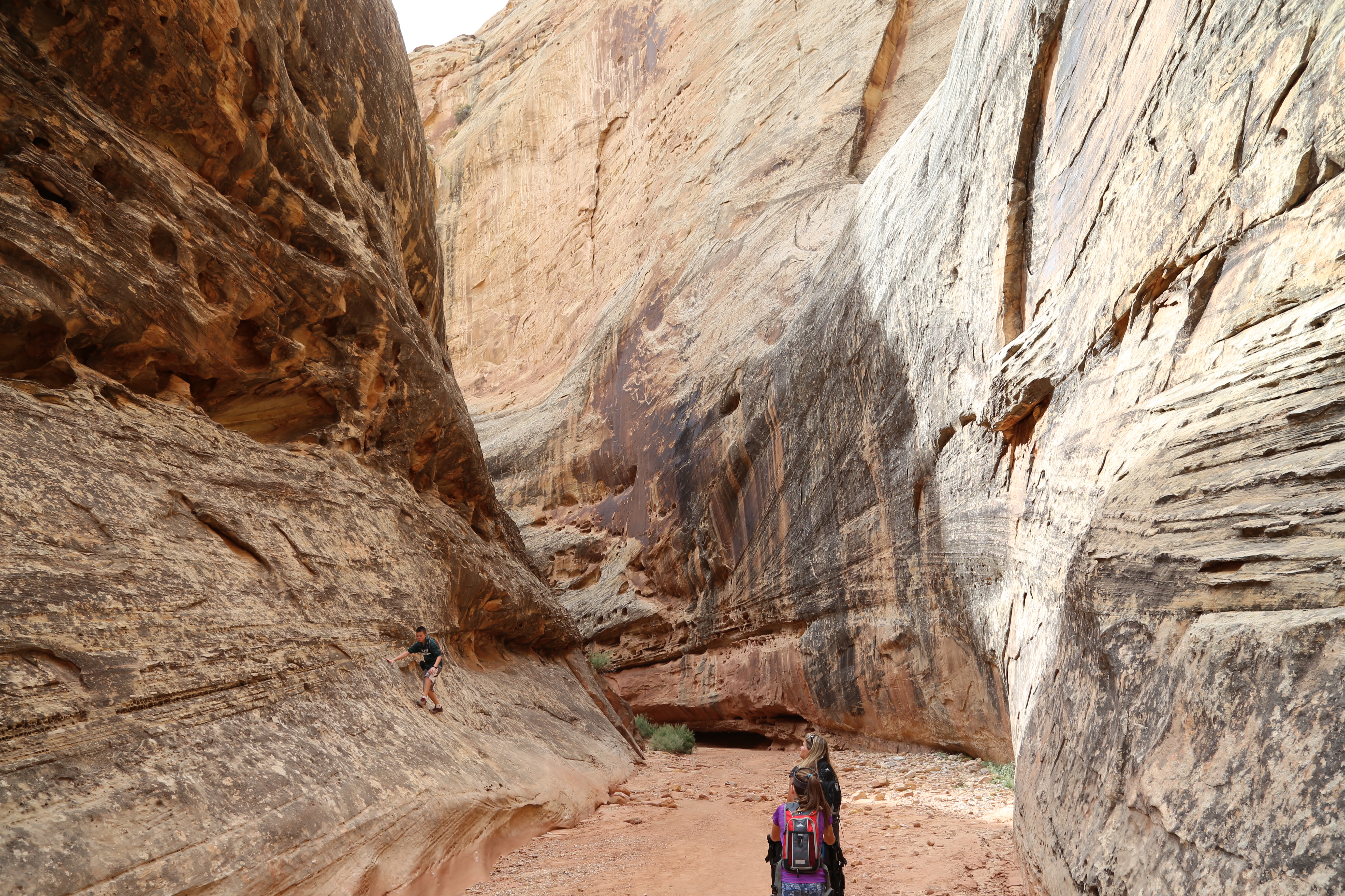 2015 Fall Break - Day 2 - Capitol Reef National Park (Grand Wash Narrows, Capitol Gorge (Petroglyphs, Narrows, Pioneer Register), Waterpocket Fold Drive (Notom-Bullfrog Road, Burr Trail Road), Hell's Backbone Grill (Boulder, Utah))