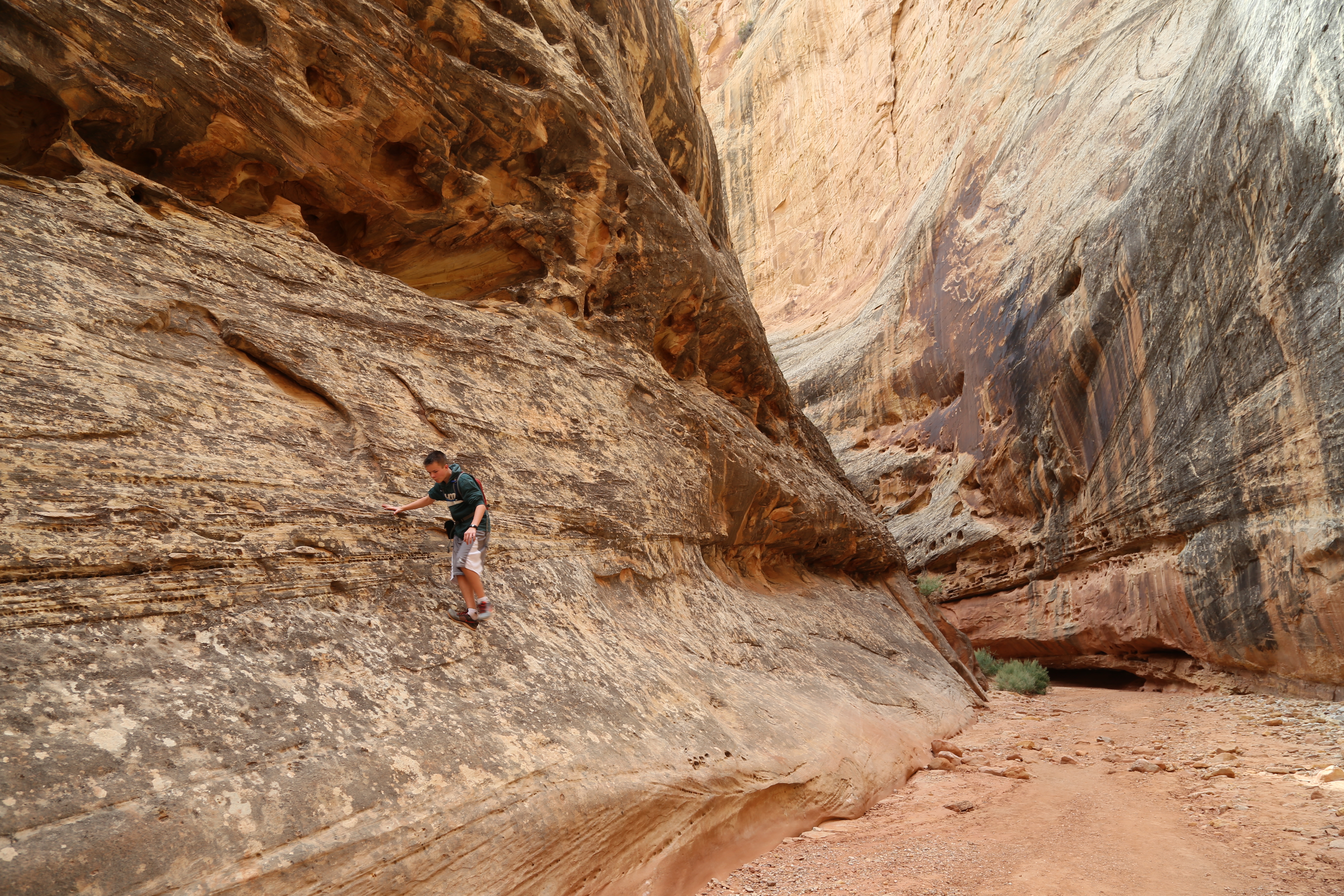 2015 Fall Break - Day 2 - Capitol Reef National Park (Grand Wash Narrows, Capitol Gorge (Petroglyphs, Narrows, Pioneer Register), Waterpocket Fold Drive (Notom-Bullfrog Road, Burr Trail Road), Hell's Backbone Grill (Boulder, Utah))