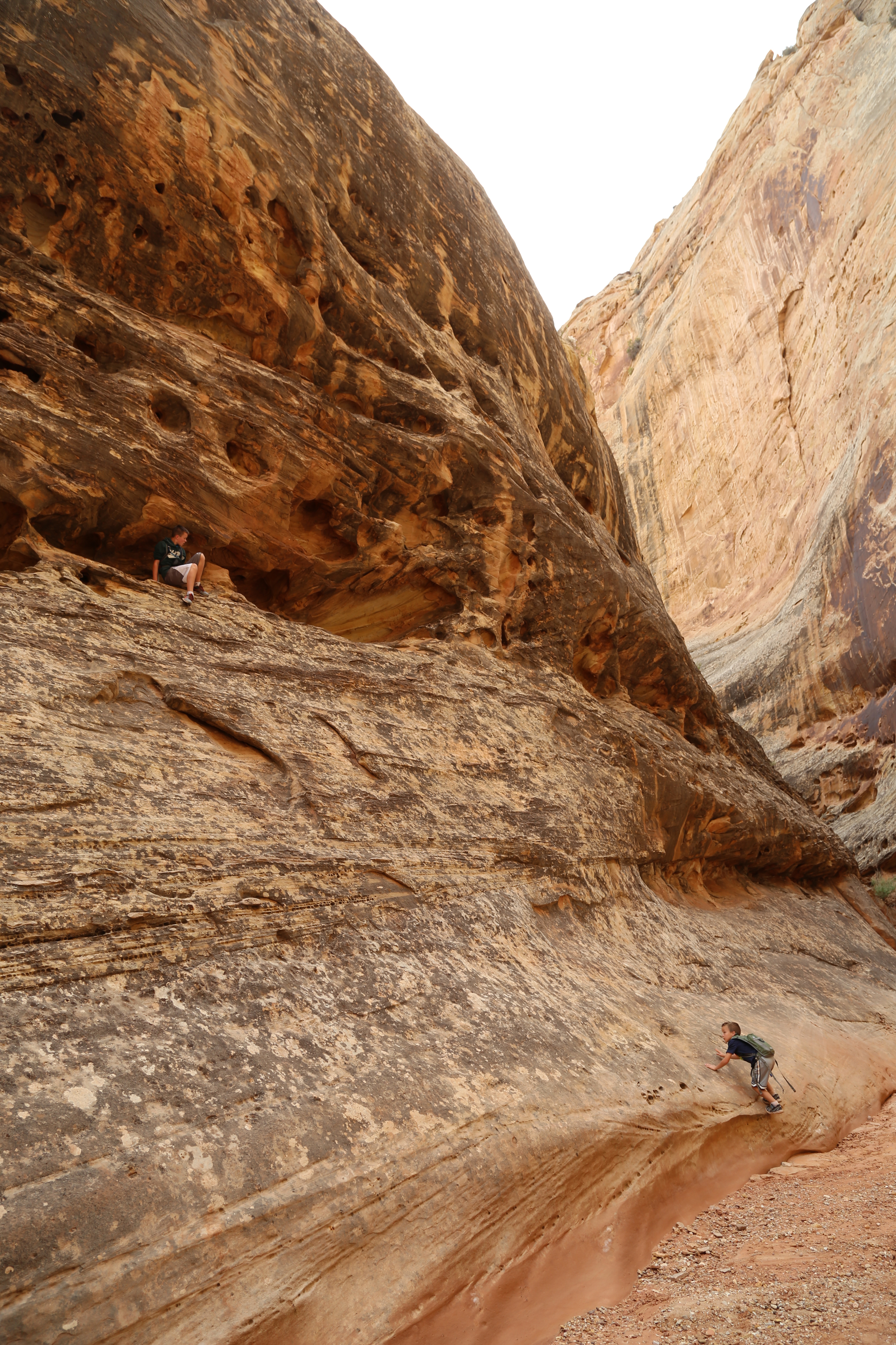 2015 Fall Break - Day 2 - Capitol Reef National Park (Grand Wash Narrows, Capitol Gorge (Petroglyphs, Narrows, Pioneer Register), Waterpocket Fold Drive (Notom-Bullfrog Road, Burr Trail Road), Hell's Backbone Grill (Boulder, Utah))