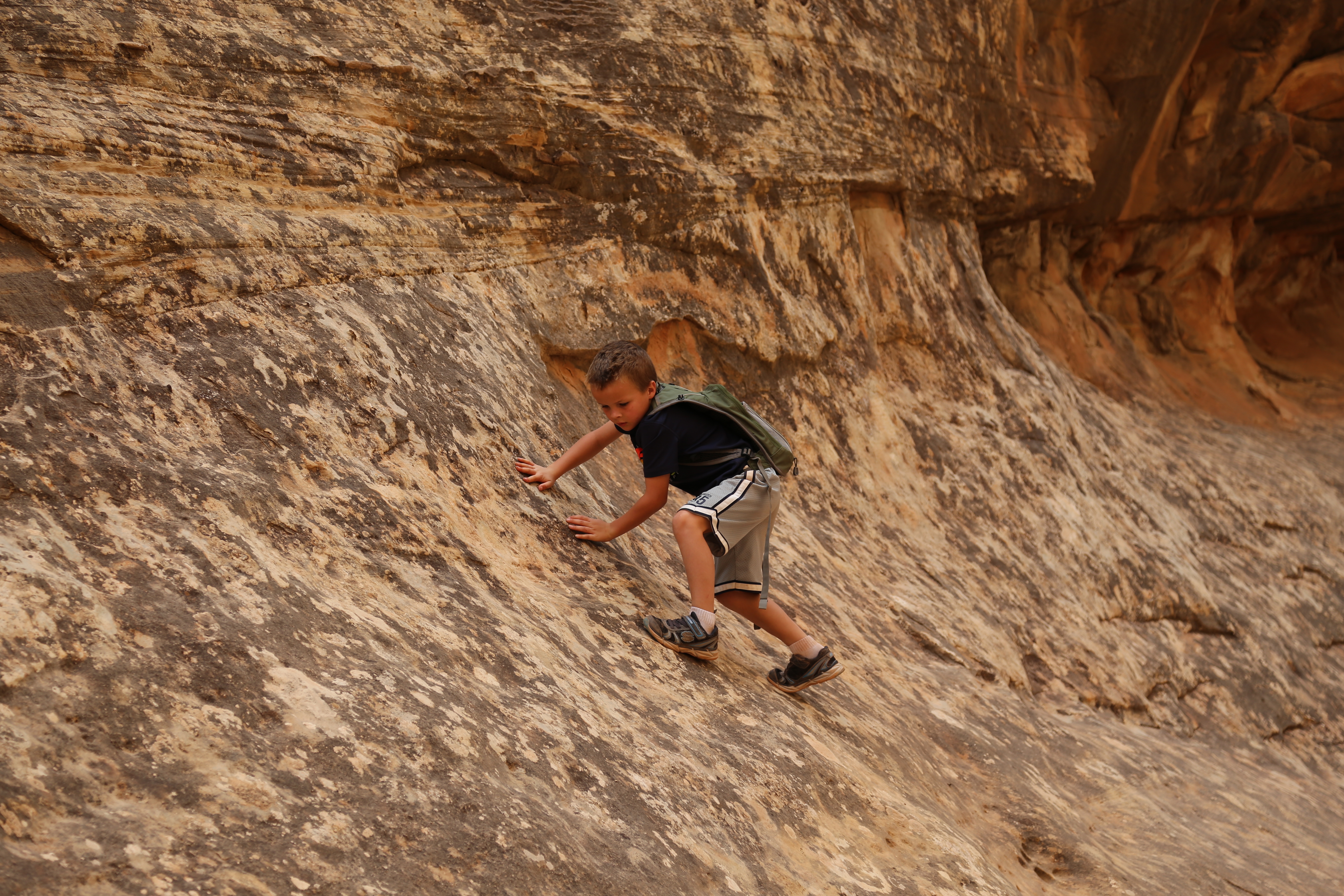 2015 Fall Break - Day 2 - Capitol Reef National Park (Grand Wash Narrows, Capitol Gorge (Petroglyphs, Narrows, Pioneer Register), Waterpocket Fold Drive (Notom-Bullfrog Road, Burr Trail Road), Hell's Backbone Grill (Boulder, Utah))