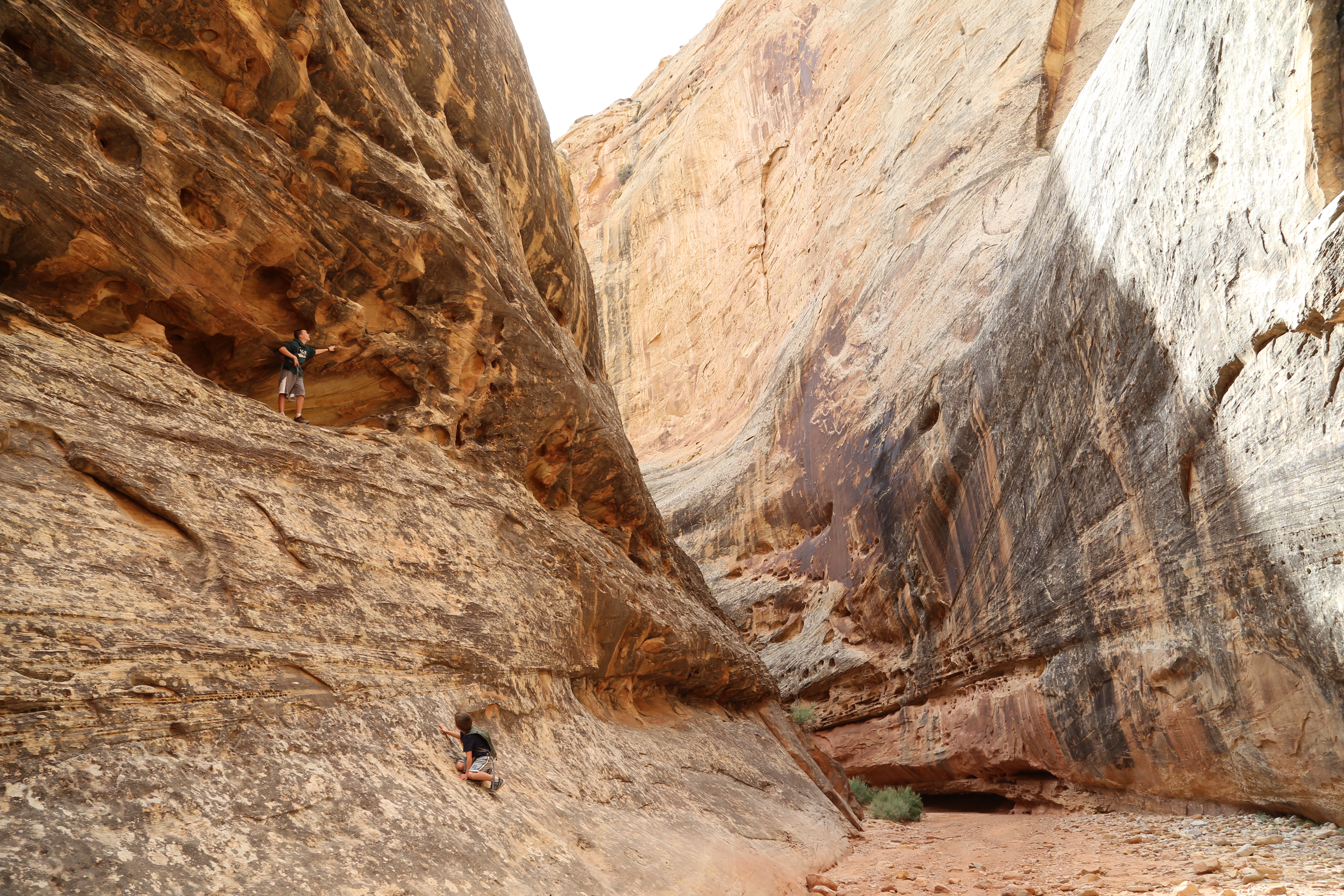 2015 Fall Break - Day 2 - Capitol Reef National Park (Grand Wash Narrows, Capitol Gorge (Petroglyphs, Narrows, Pioneer Register), Waterpocket Fold Drive (Notom-Bullfrog Road, Burr Trail Road), Hell's Backbone Grill (Boulder, Utah))