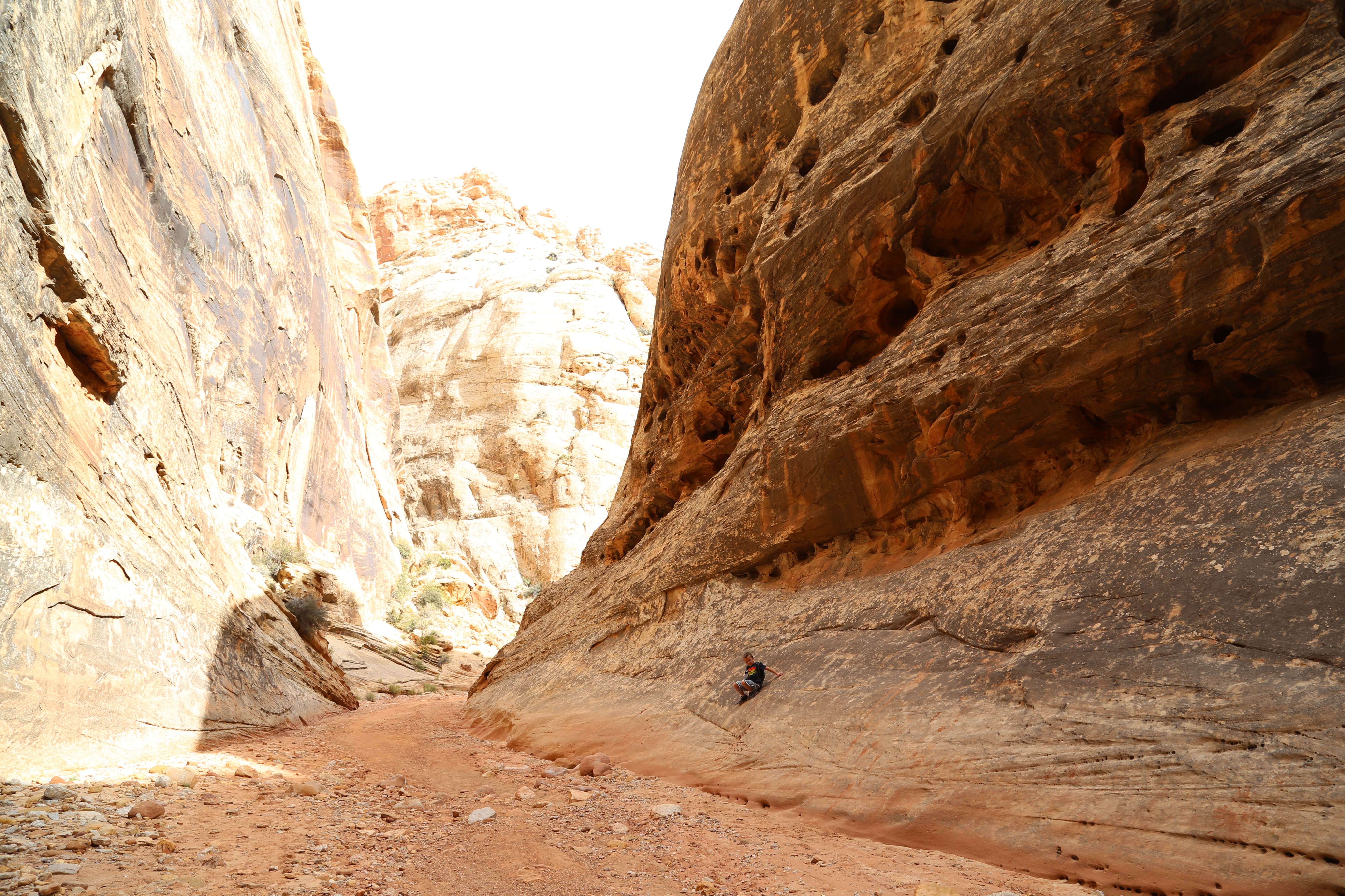 2015 Fall Break - Day 2 - Capitol Reef National Park (Grand Wash Narrows, Capitol Gorge (Petroglyphs, Narrows, Pioneer Register), Waterpocket Fold Drive (Notom-Bullfrog Road, Burr Trail Road), Hell's Backbone Grill (Boulder, Utah))