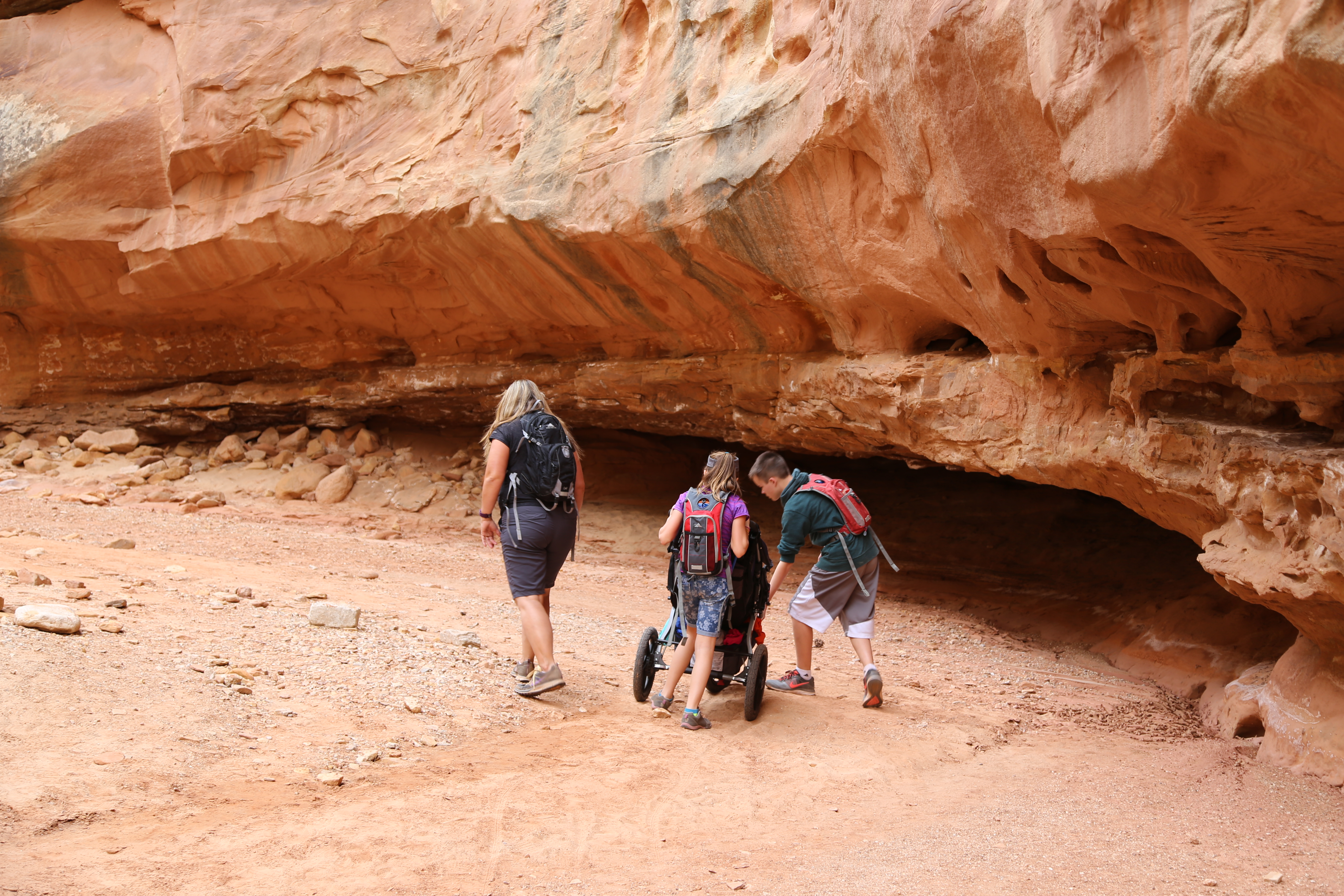 2015 Fall Break - Day 2 - Capitol Reef National Park (Grand Wash Narrows, Capitol Gorge (Petroglyphs, Narrows, Pioneer Register), Waterpocket Fold Drive (Notom-Bullfrog Road, Burr Trail Road), Hell's Backbone Grill (Boulder, Utah))