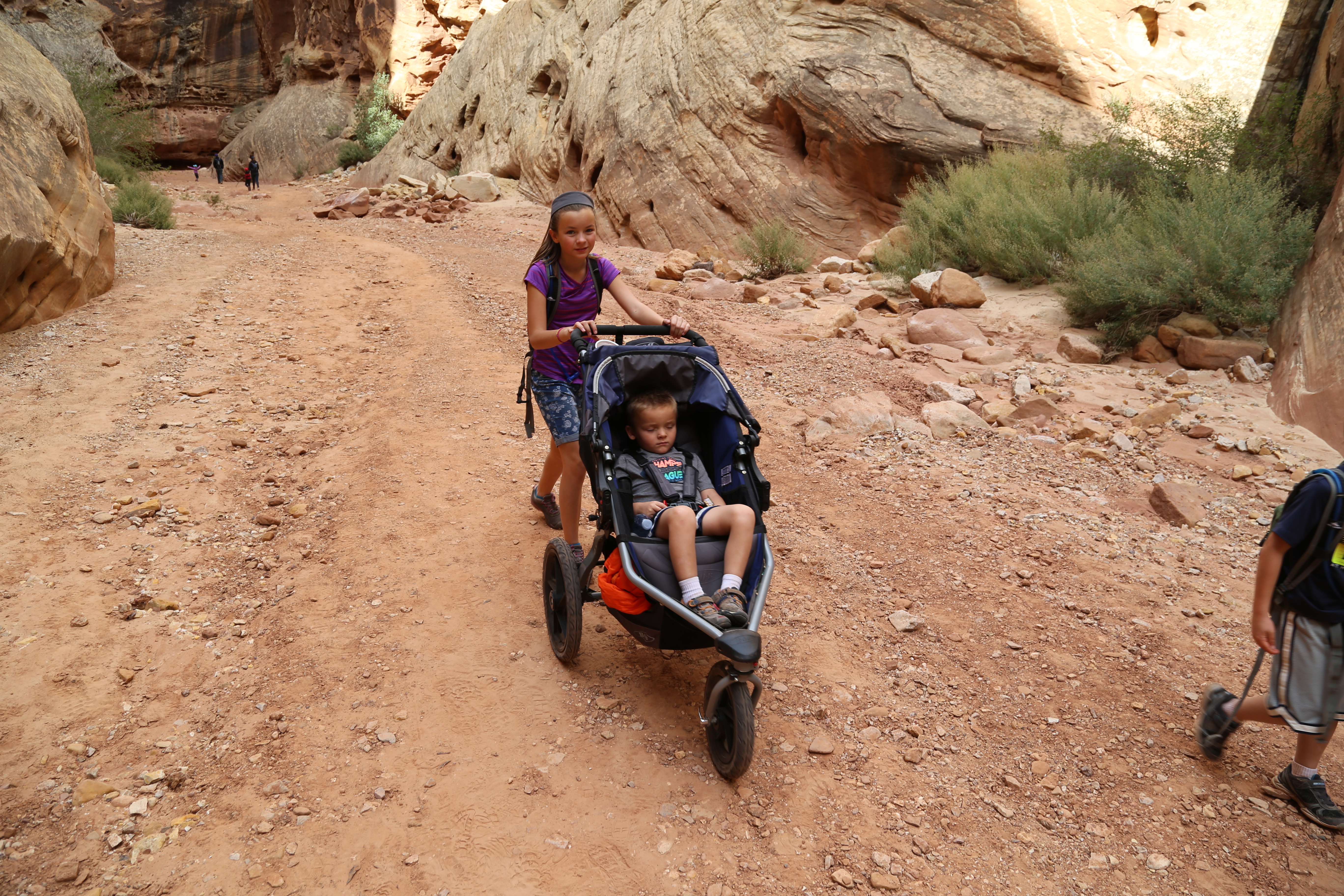 2015 Fall Break - Day 2 - Capitol Reef National Park (Grand Wash Narrows, Capitol Gorge (Petroglyphs, Narrows, Pioneer Register), Waterpocket Fold Drive (Notom-Bullfrog Road, Burr Trail Road), Hell's Backbone Grill (Boulder, Utah))