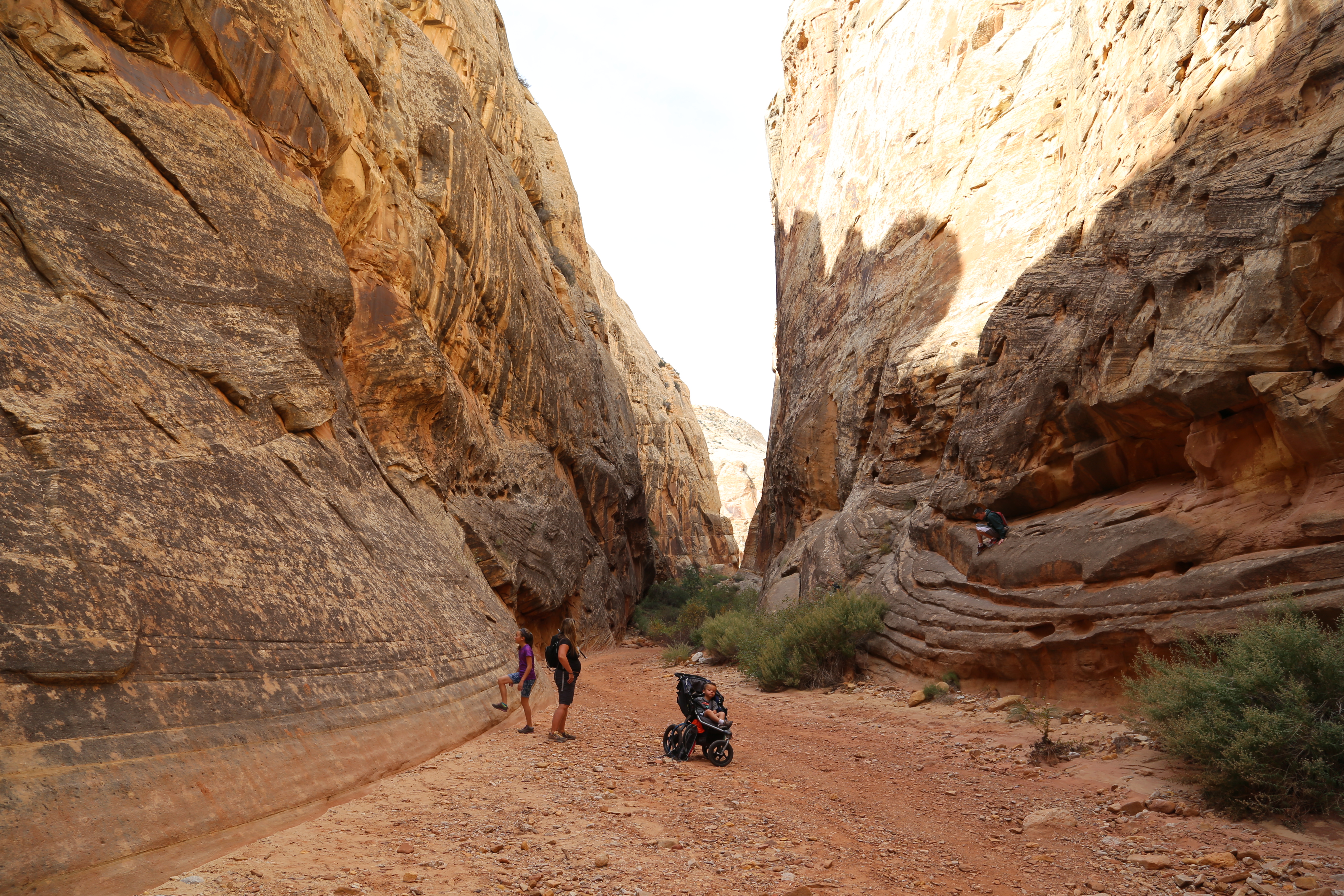 2015 Fall Break - Day 2 - Capitol Reef National Park (Grand Wash Narrows, Capitol Gorge (Petroglyphs, Narrows, Pioneer Register), Waterpocket Fold Drive (Notom-Bullfrog Road, Burr Trail Road), Hell's Backbone Grill (Boulder, Utah))