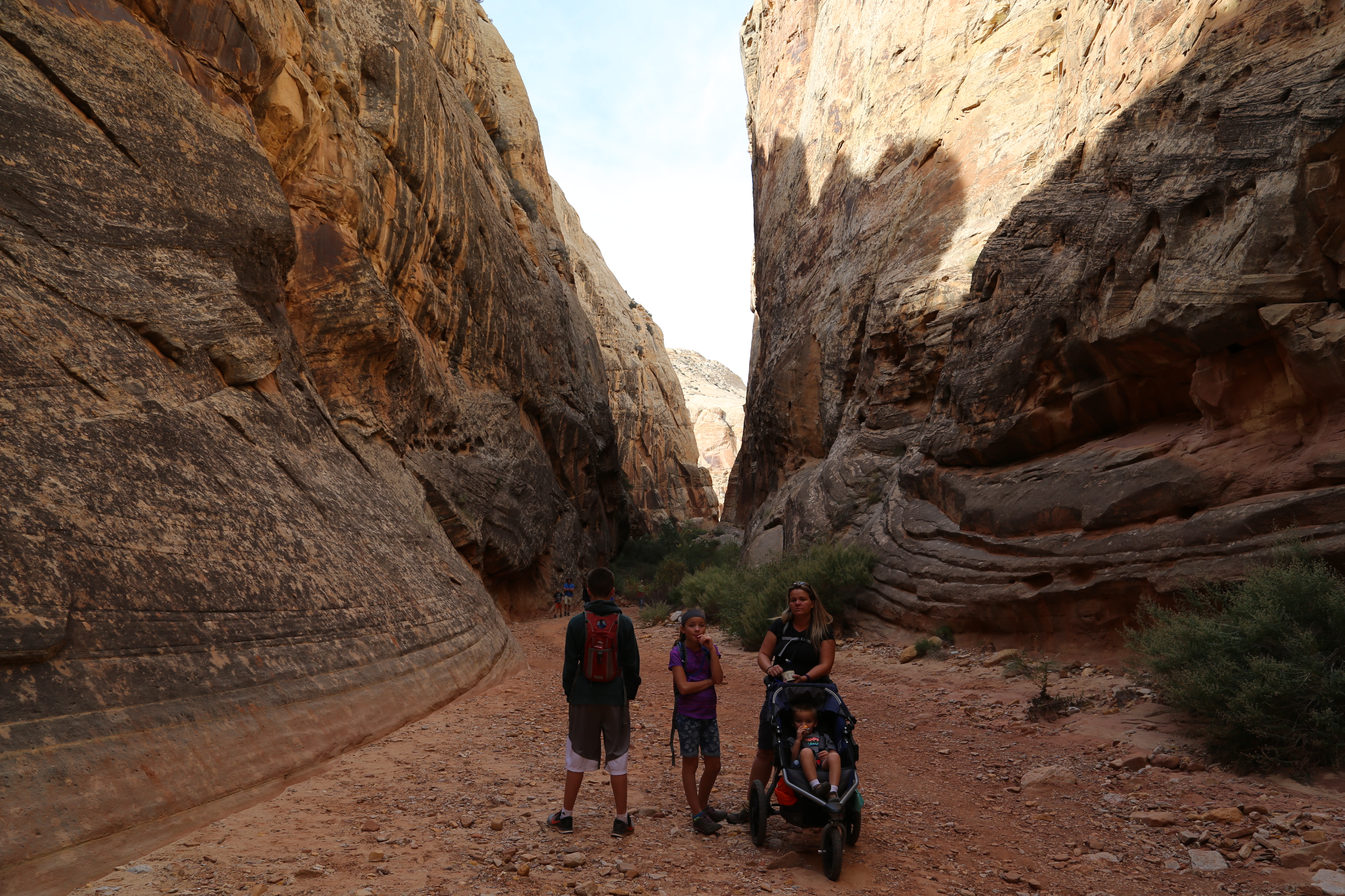 2015 Fall Break - Day 2 - Capitol Reef National Park (Grand Wash Narrows, Capitol Gorge (Petroglyphs, Narrows, Pioneer Register), Waterpocket Fold Drive (Notom-Bullfrog Road, Burr Trail Road), Hell's Backbone Grill (Boulder, Utah))