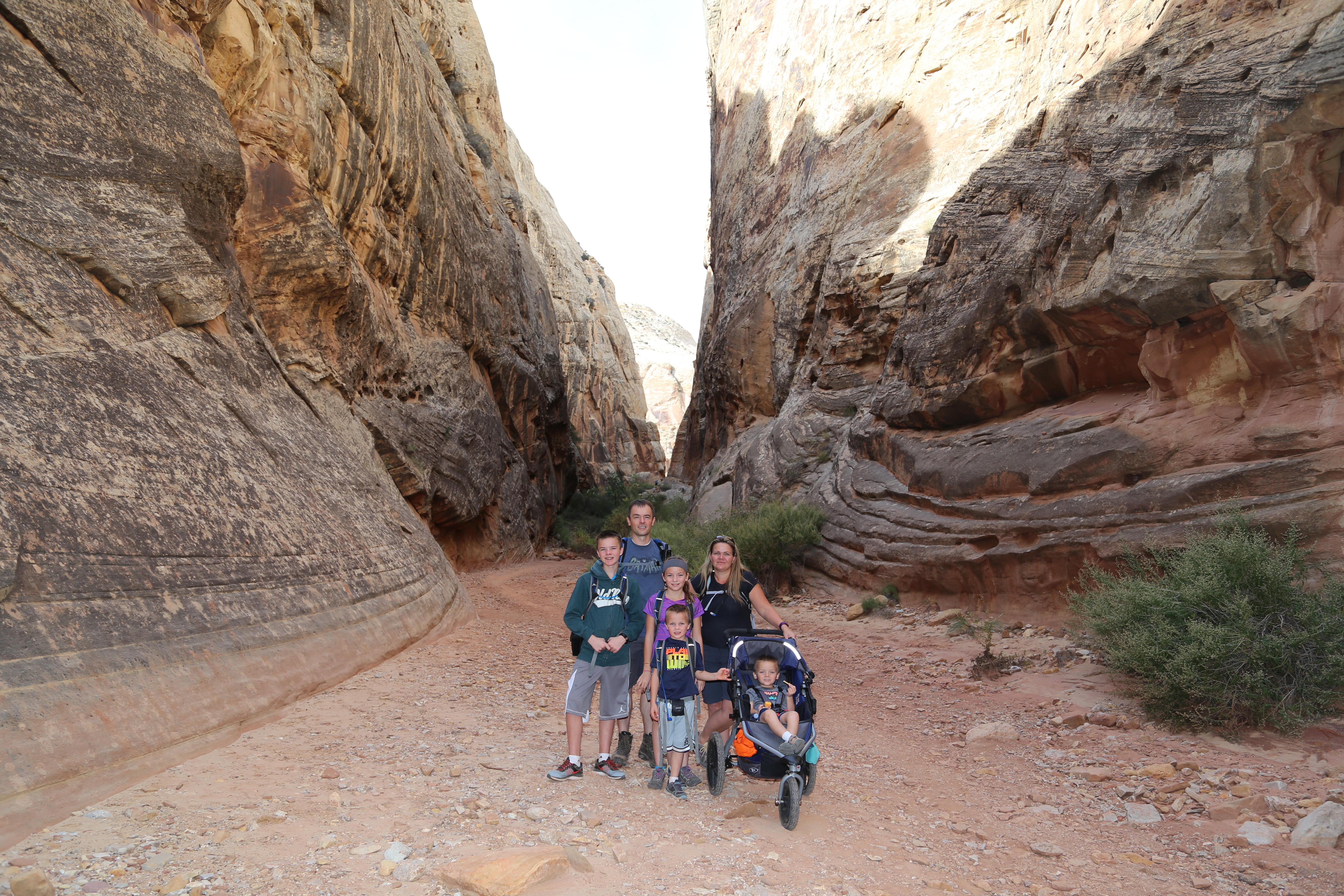 2015 Fall Break - Day 2 - Capitol Reef National Park (Grand Wash Narrows, Capitol Gorge (Petroglyphs, Narrows, Pioneer Register), Waterpocket Fold Drive (Notom-Bullfrog Road, Burr Trail Road), Hell's Backbone Grill (Boulder, Utah))