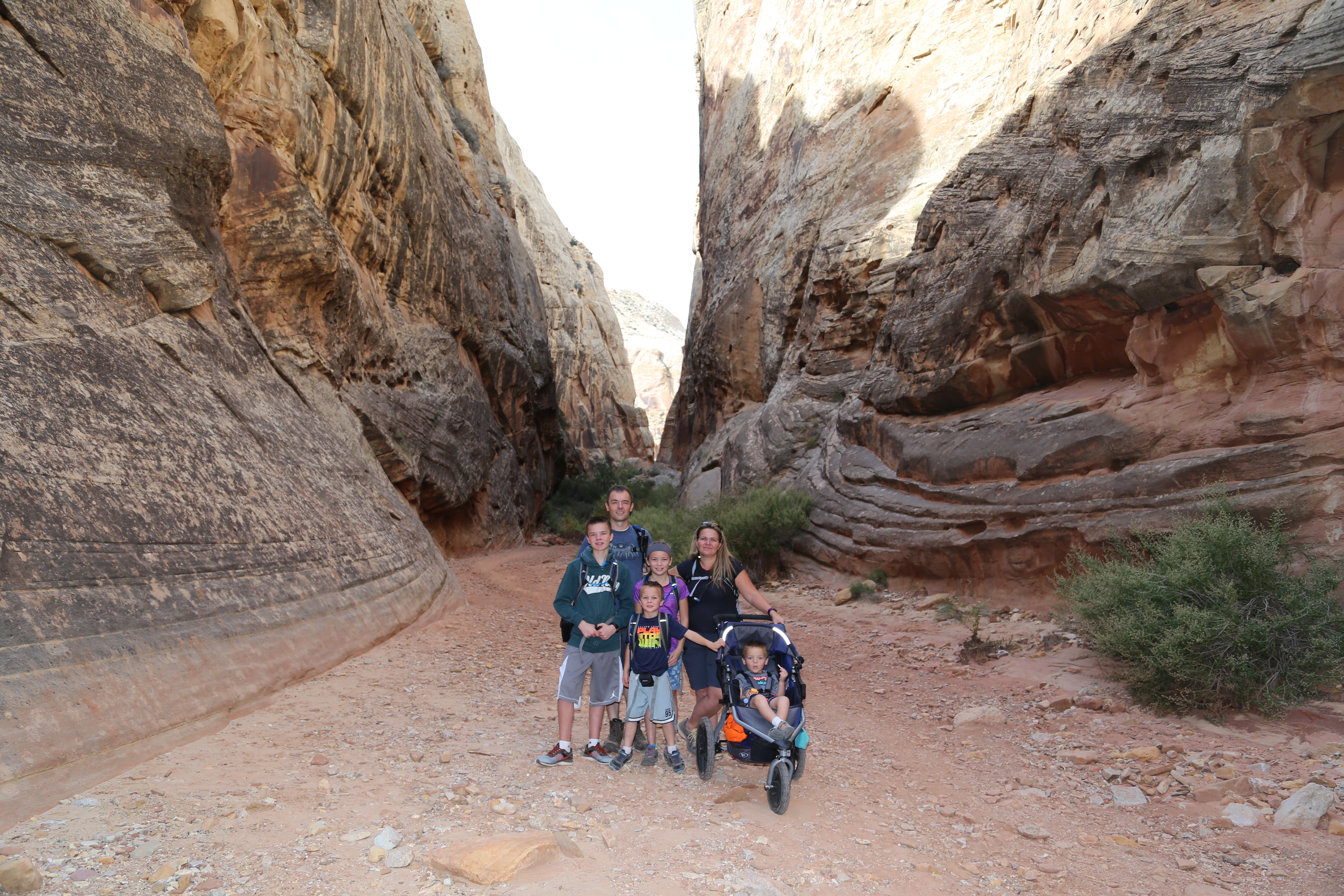 2015 Fall Break - Day 2 - Capitol Reef National Park (Grand Wash Narrows, Capitol Gorge (Petroglyphs, Narrows, Pioneer Register), Waterpocket Fold Drive (Notom-Bullfrog Road, Burr Trail Road), Hell's Backbone Grill (Boulder, Utah))