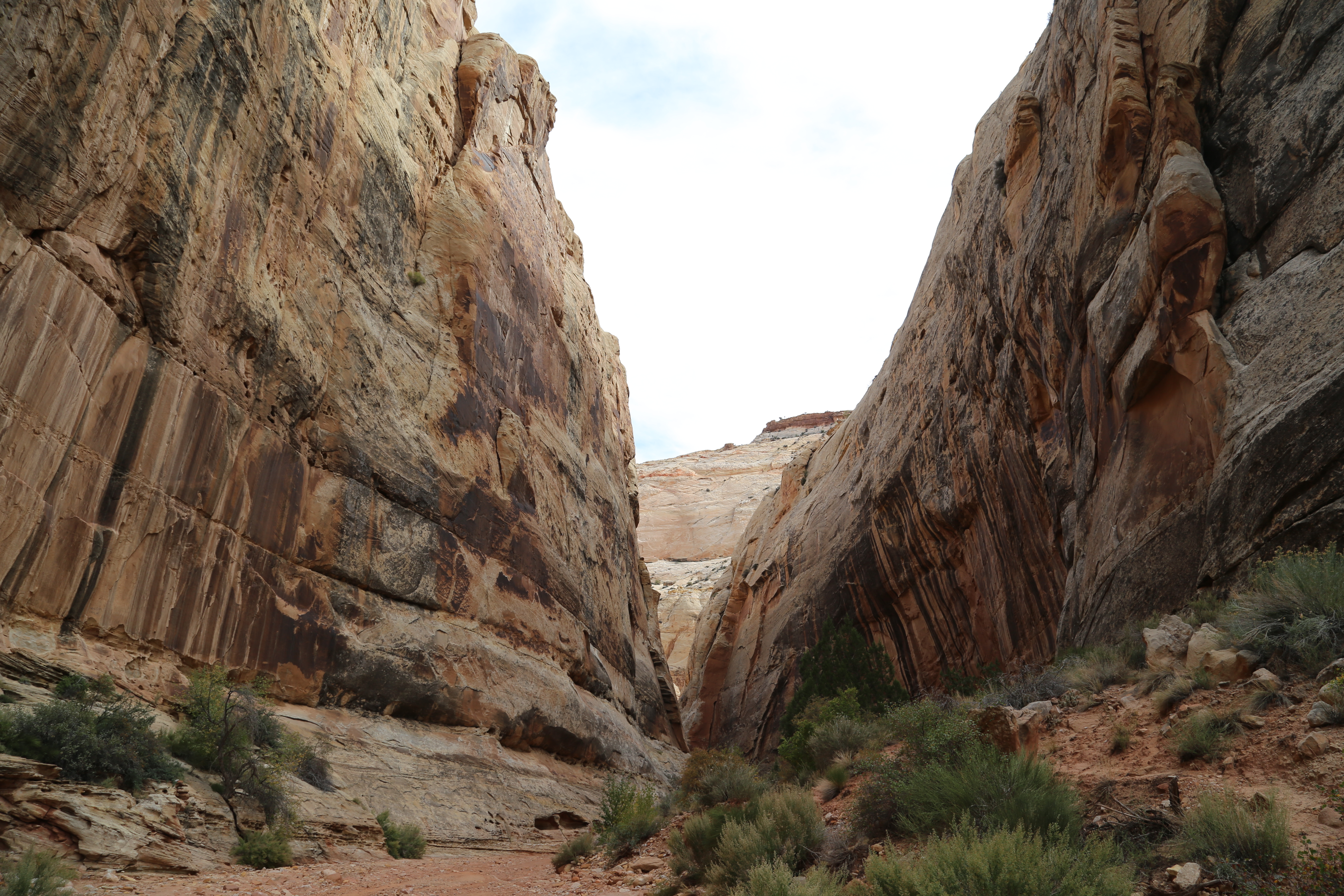 2015 Fall Break - Day 2 - Capitol Reef National Park (Grand Wash Narrows, Capitol Gorge (Petroglyphs, Narrows, Pioneer Register), Waterpocket Fold Drive (Notom-Bullfrog Road, Burr Trail Road), Hell's Backbone Grill (Boulder, Utah))