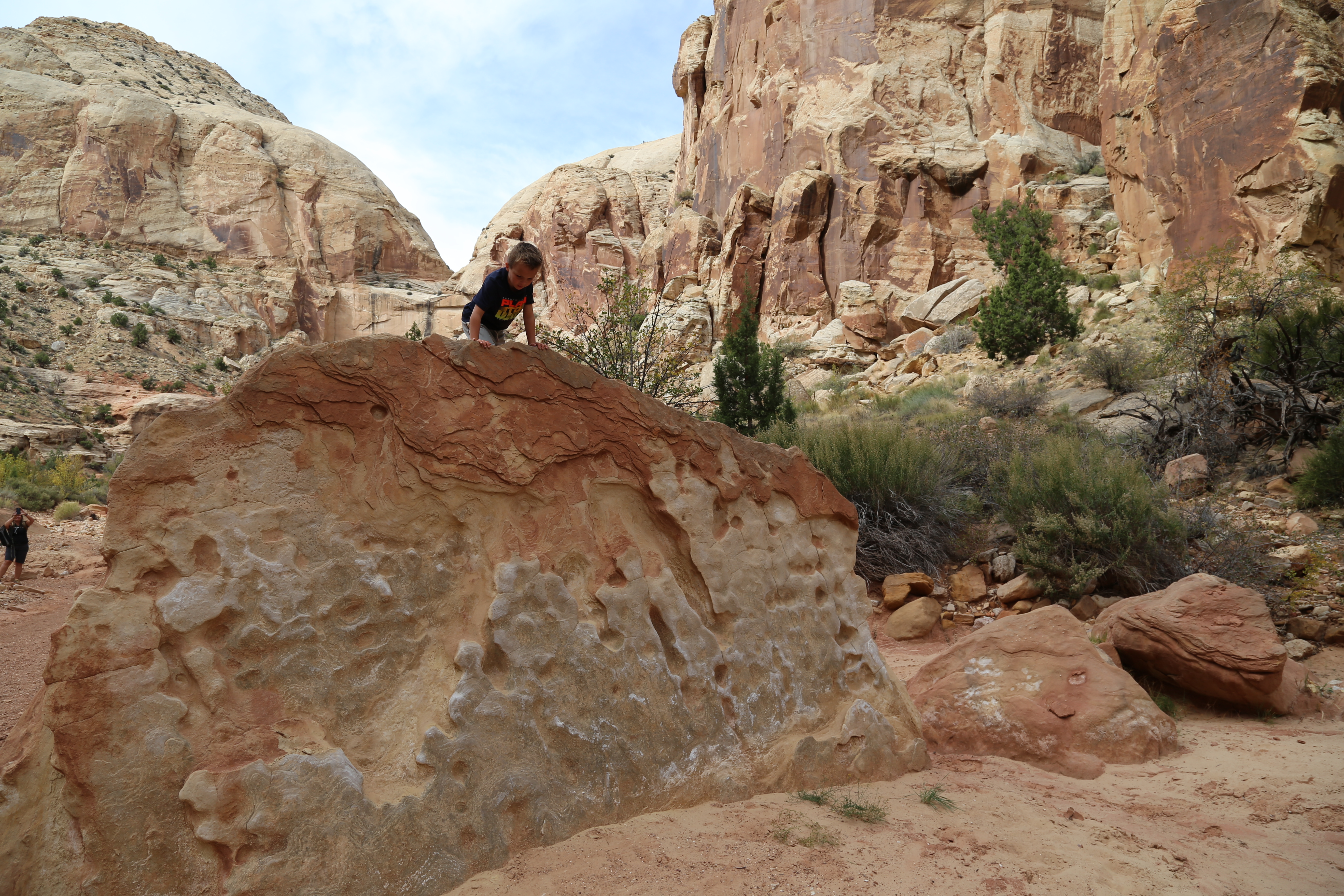 2015 Fall Break - Day 2 - Capitol Reef National Park (Grand Wash Narrows, Capitol Gorge (Petroglyphs, Narrows, Pioneer Register), Waterpocket Fold Drive (Notom-Bullfrog Road, Burr Trail Road), Hell's Backbone Grill (Boulder, Utah))